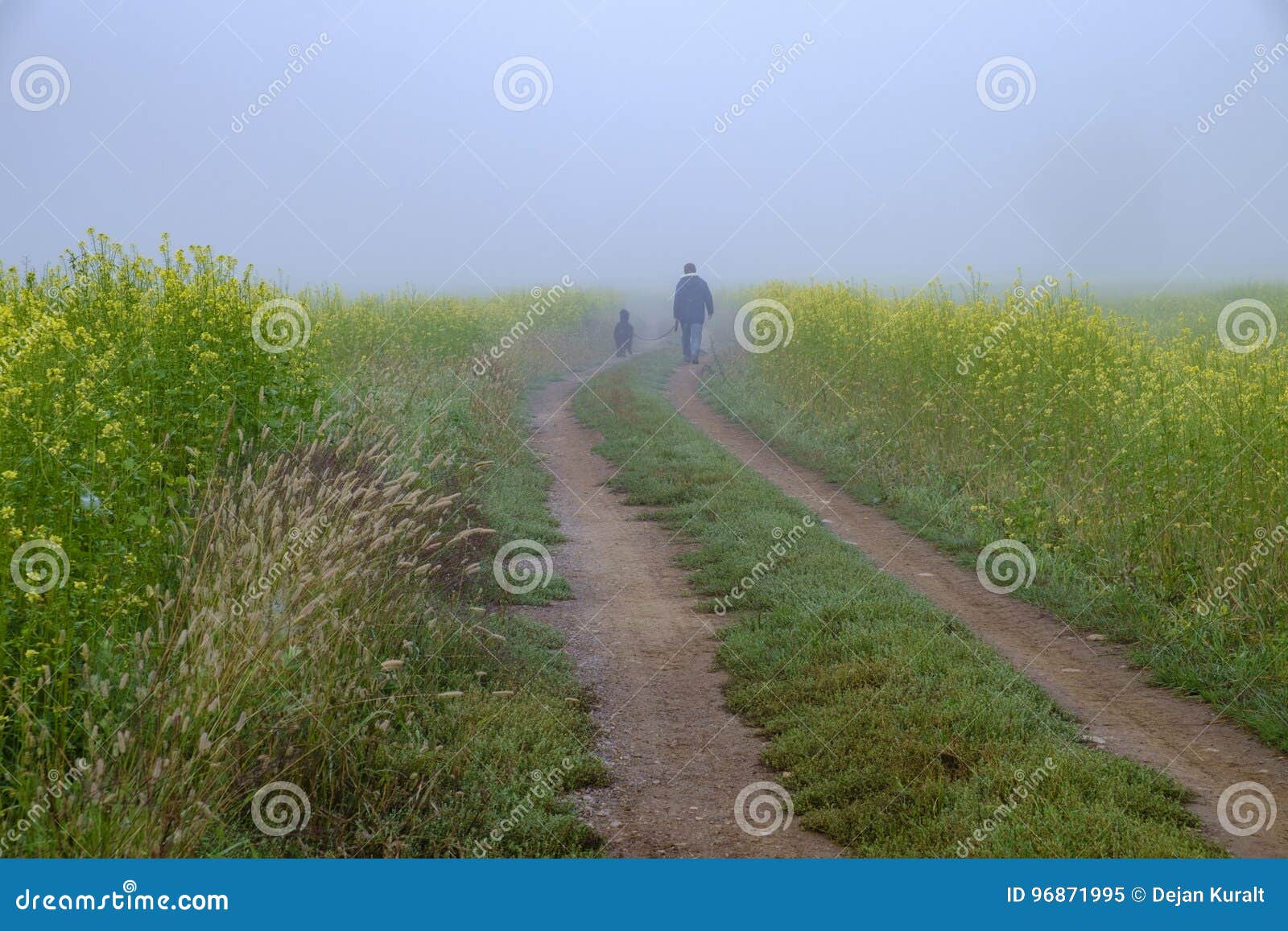 Man walking dog stock image. Image of animal, road, nature 96871995