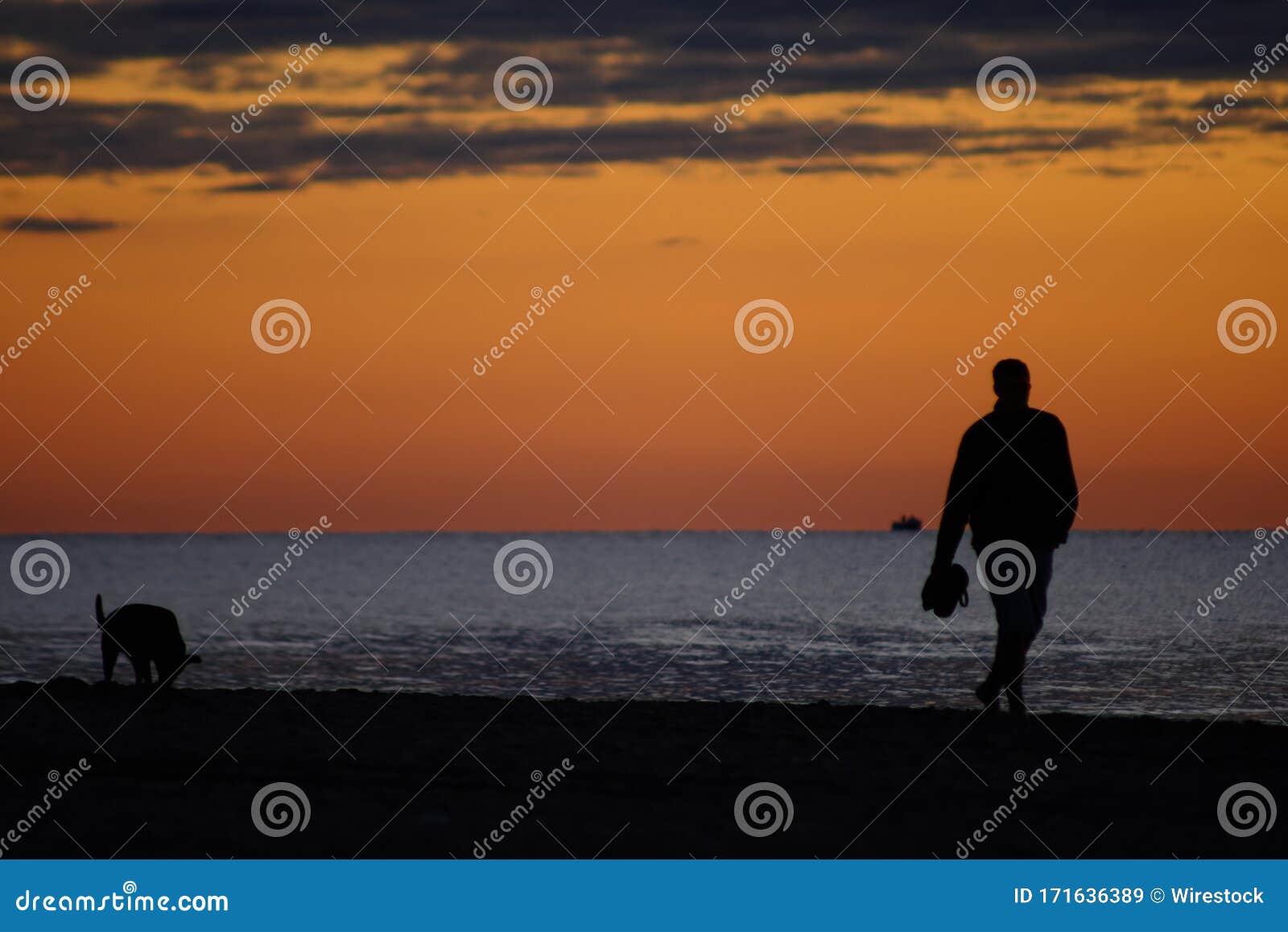 Man Walking a Dog in the Morning, on the Beach Stock Image Image of