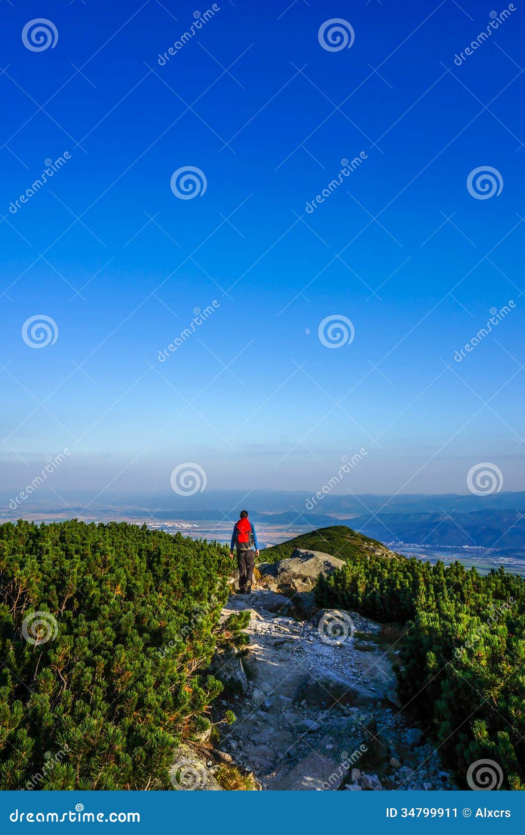 image of tight rope walker heading towards the stars image of tight rope walker heading towards the stars