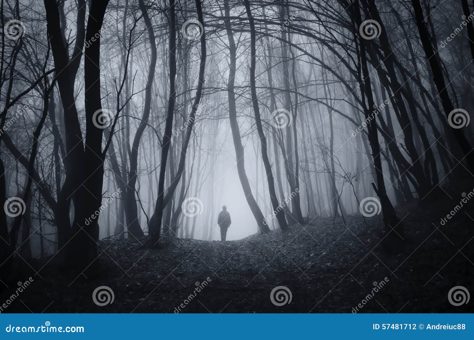 Man Walking In Halloween Mysterious Forest With Fog Stock Photo Image Of Gloomy Fantasy