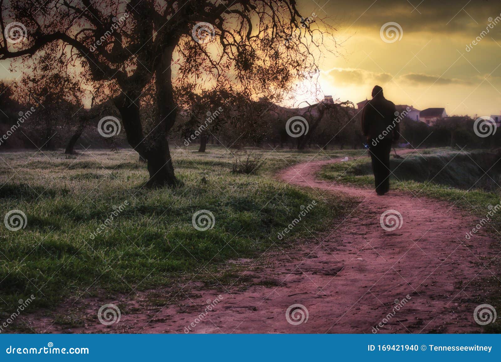 a man walking on an idylic country path with the sun in the distance