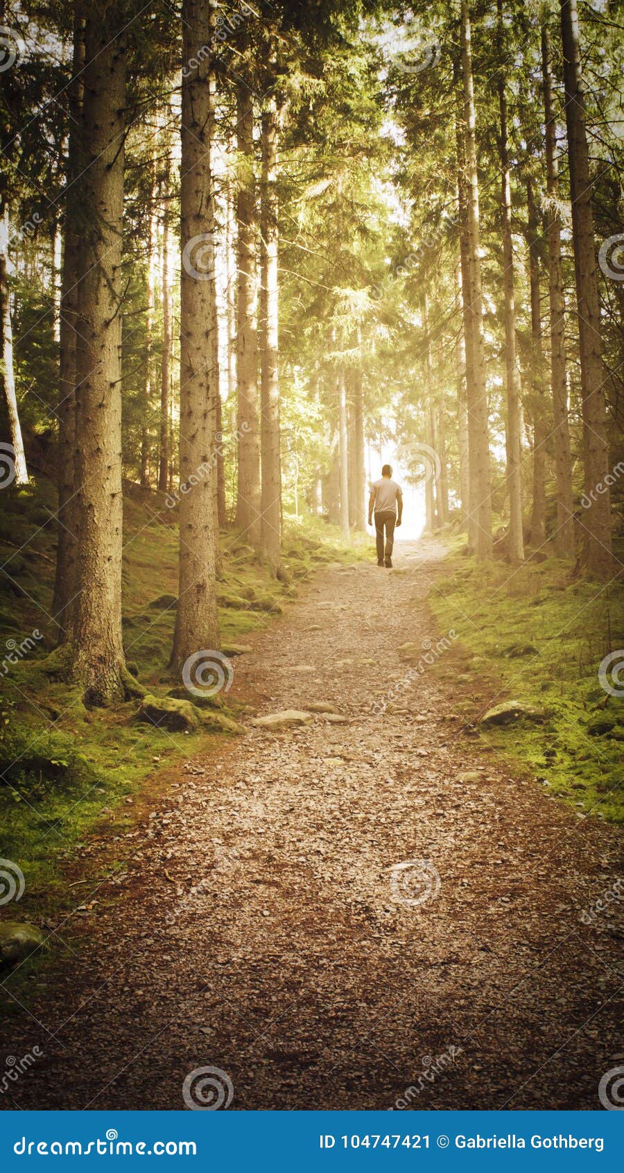 man walking up path towards the light in magic forest.