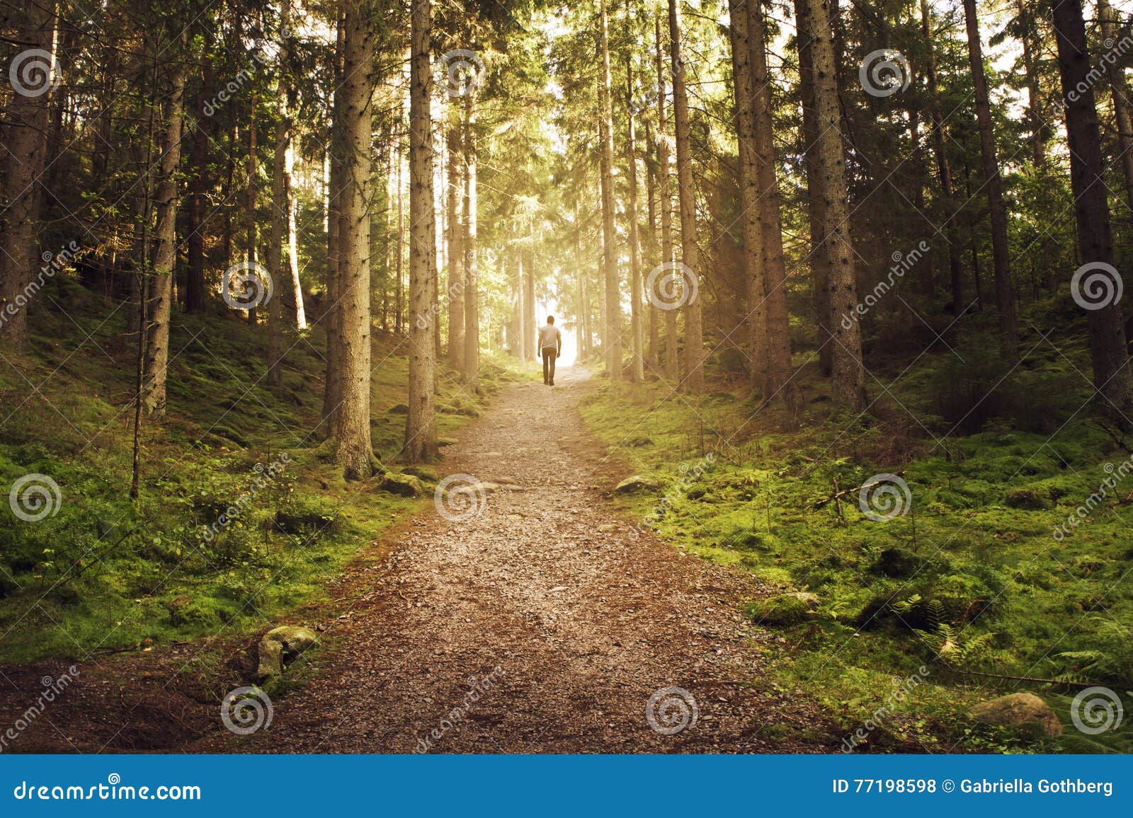 man walking up path towards the light in magic forest.