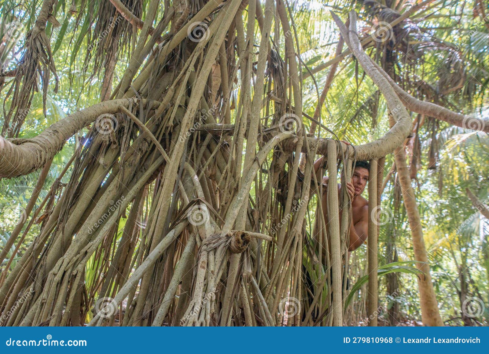 man wandering at the tropical jungle forest