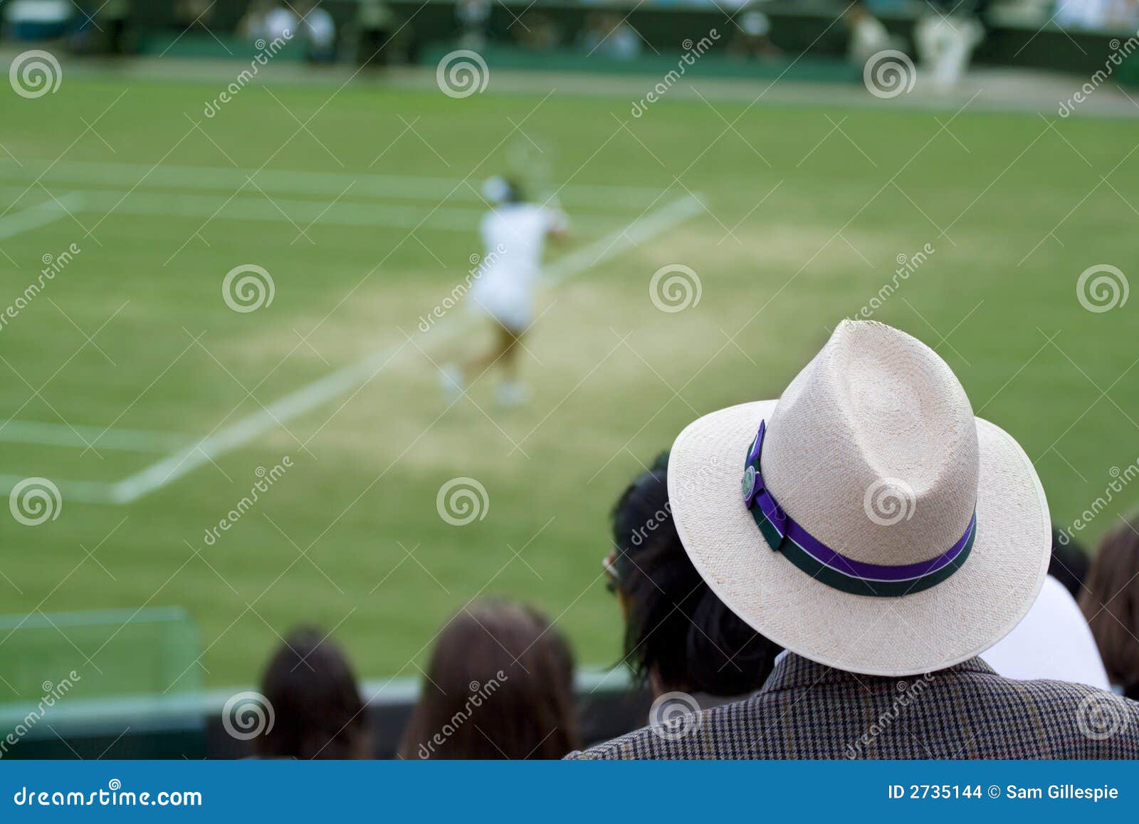 man watching tennis match