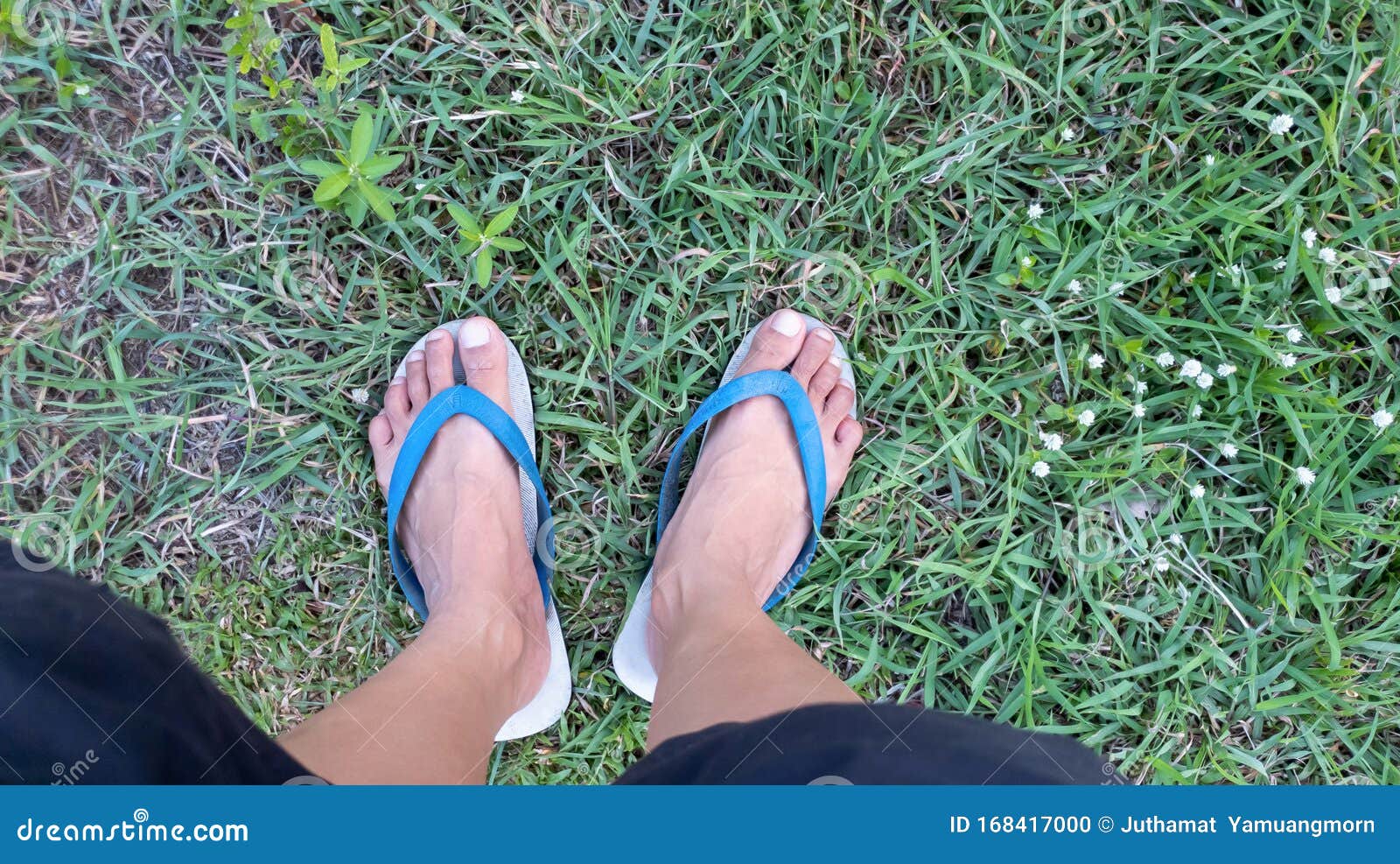 Man Wearing Blue and White Flip Flop on Green Grass Background .outdoot ...