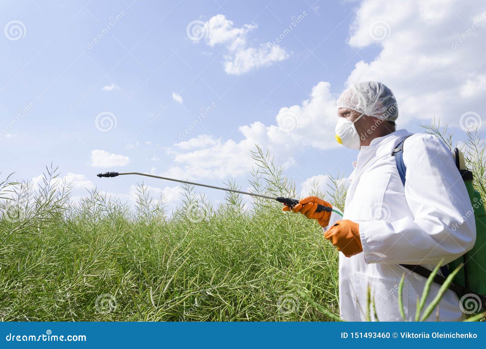 man wearing respirator, white workwear and protective gloves.spraying pesticides in the field