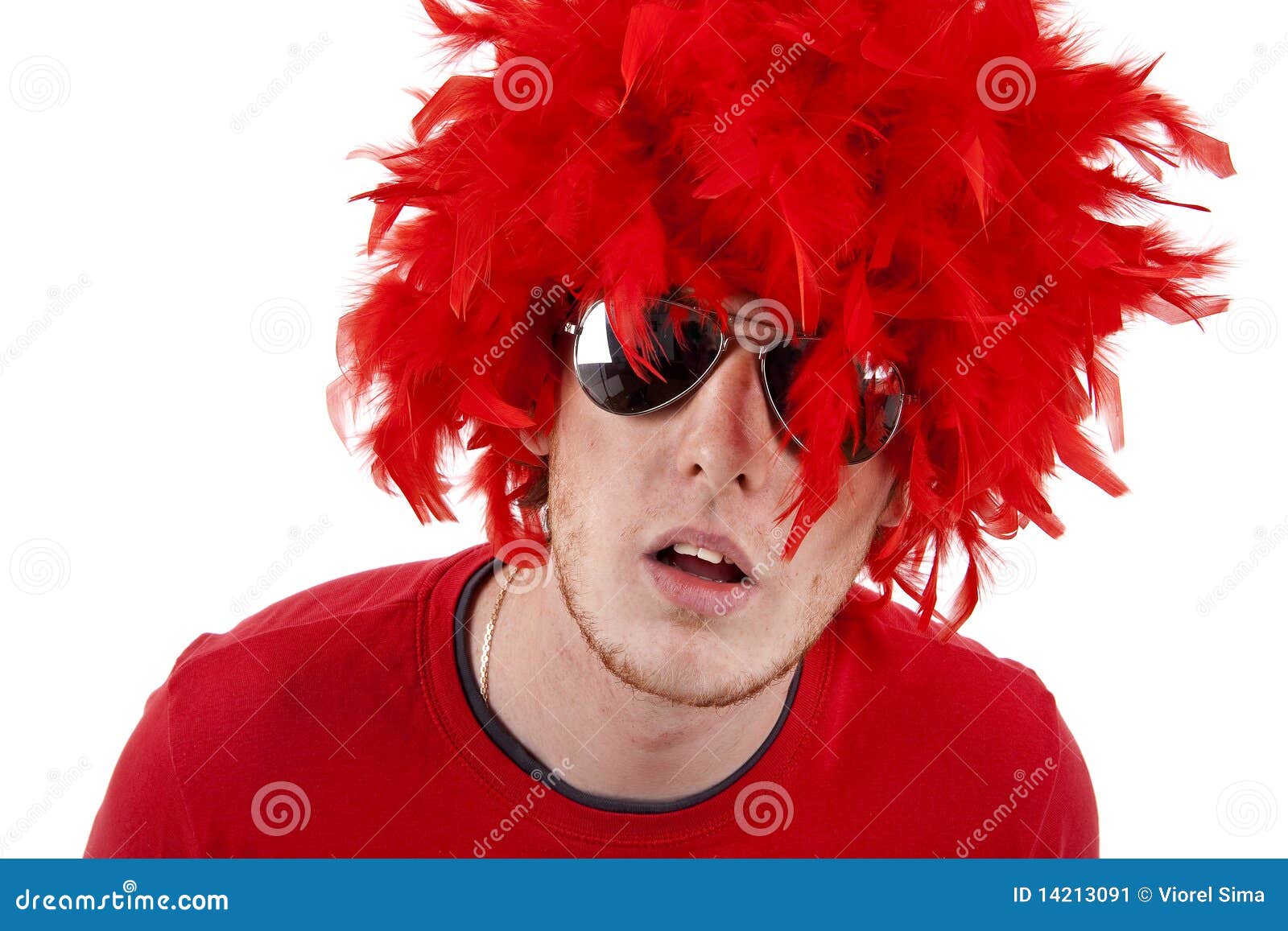 Man wearing wig stock image. Image of male, rock, portrait - 14213091