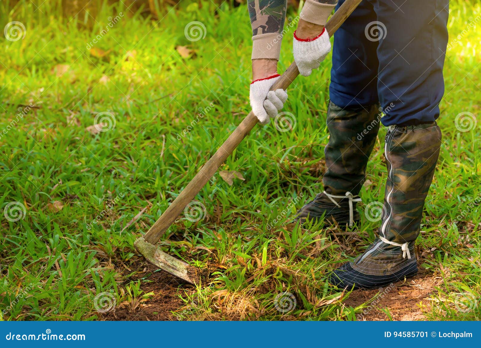 Man Weeding His Garden with Hoe. Stock Image - Image of farmer, healthy ...