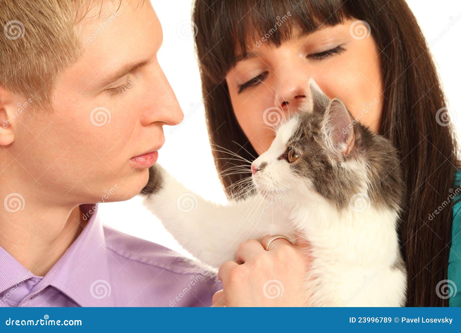 Man And Woman Hold Cat Isolated Stock Image Image Of Nose Communicate 23996789