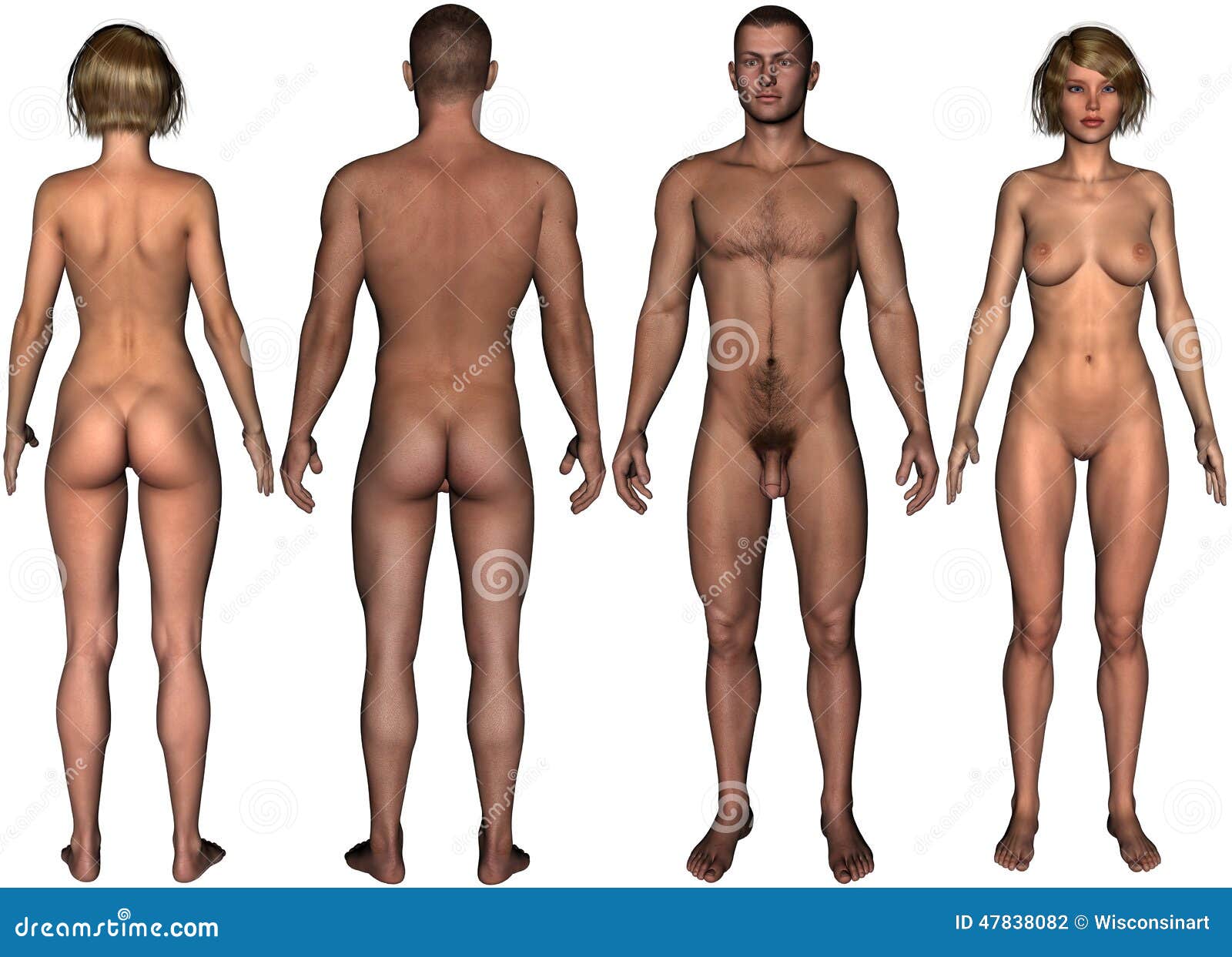 Man Woman Nude Body Isolated Stock Illustration Image