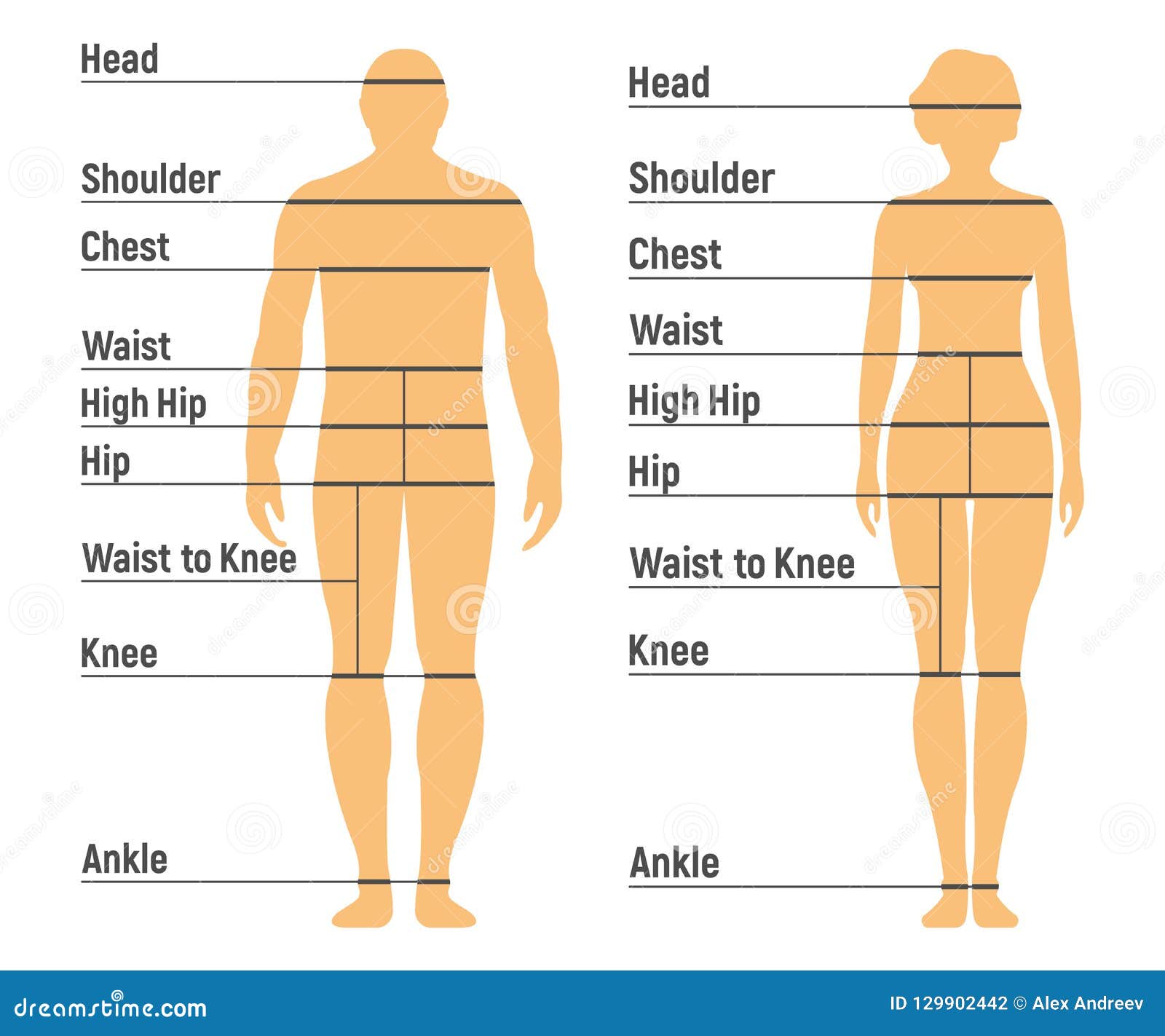 Chart Man