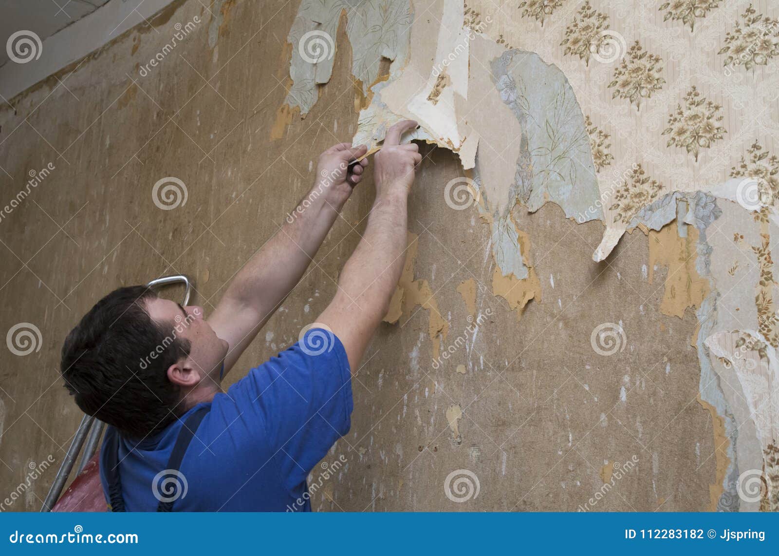 Man Worker Removing Old Wallpaper during Renovation Stock Photo Image