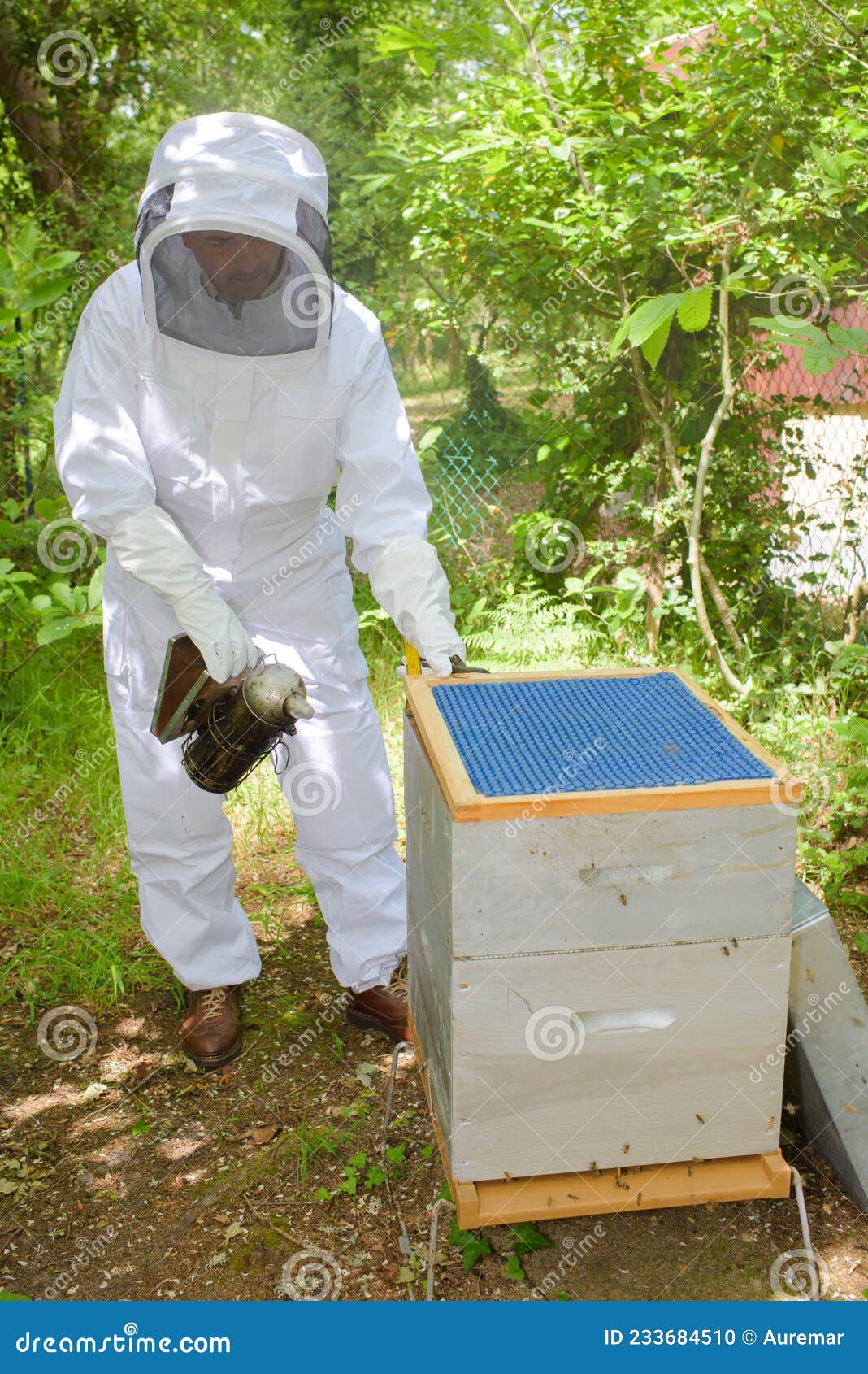 A Man Is Working Fogging To Eliminate Mosquitoes. In The Rain, Season