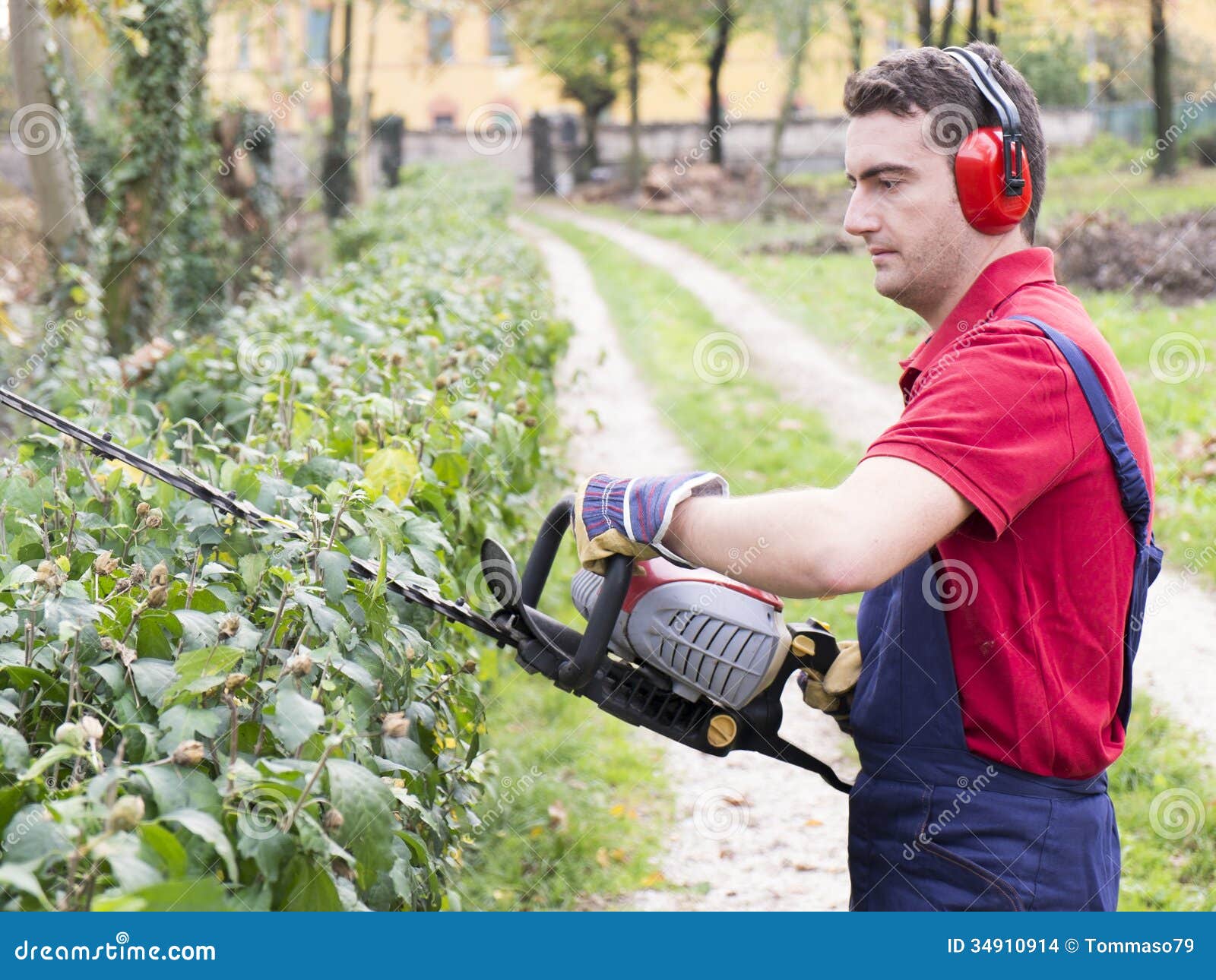 best bush trimmer 2021 best bush trimmer 2021