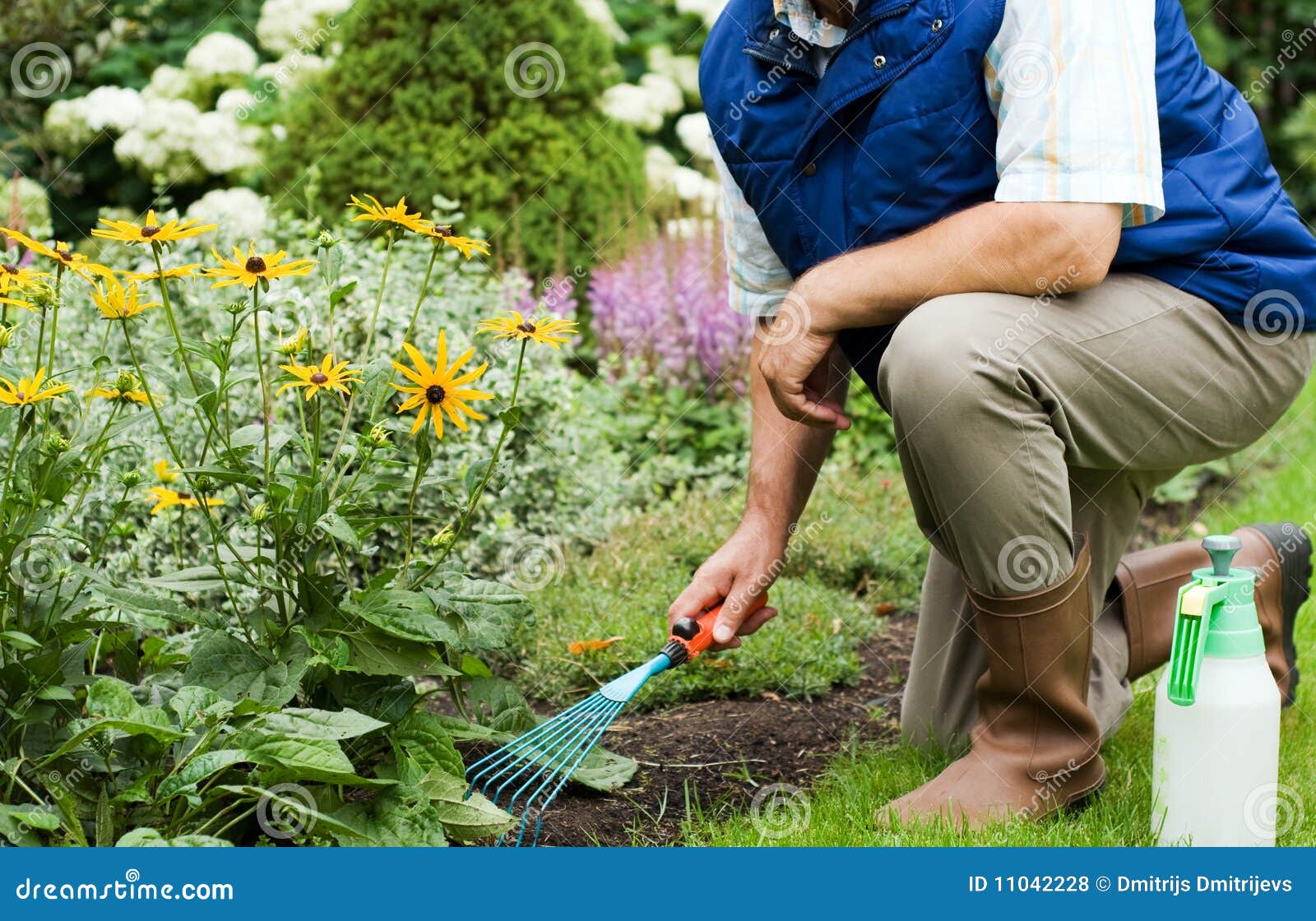 Man working in the garden stock photo. Image of nature 11042228