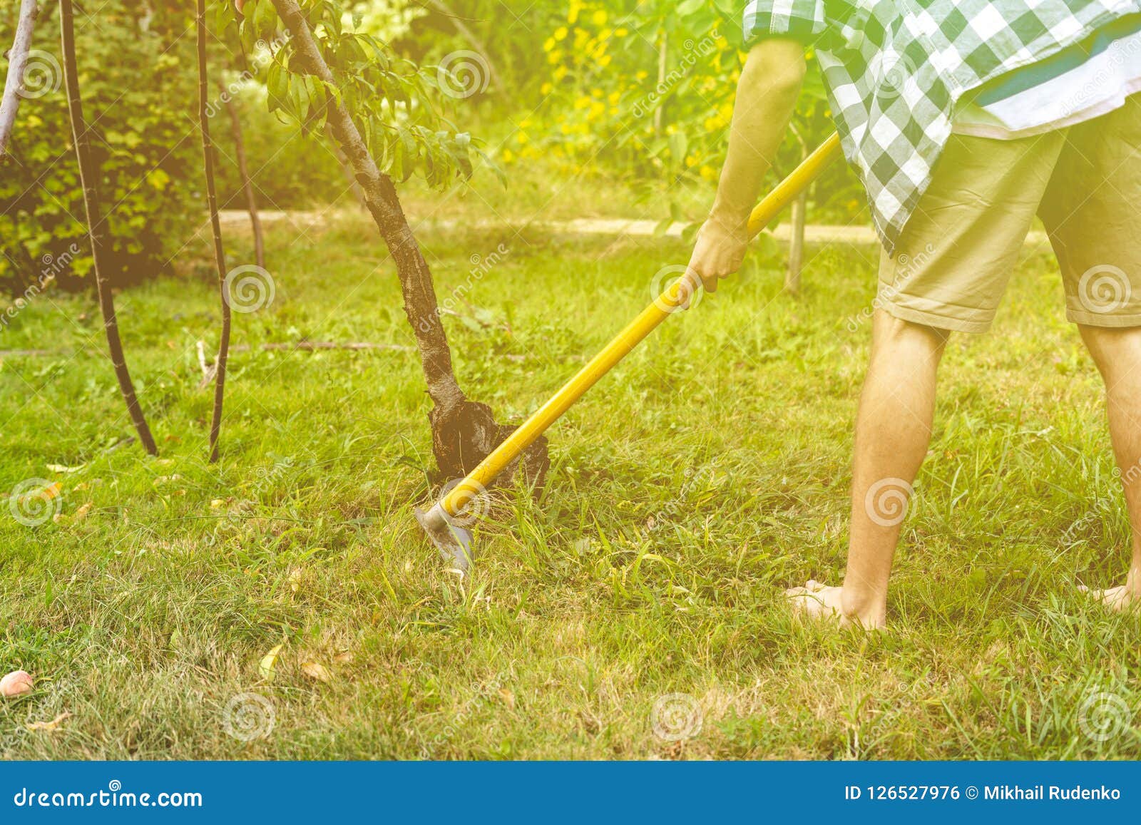 Man Working with Hoe in Garden Under Tree on Lawn a Stock Photo - Image ...