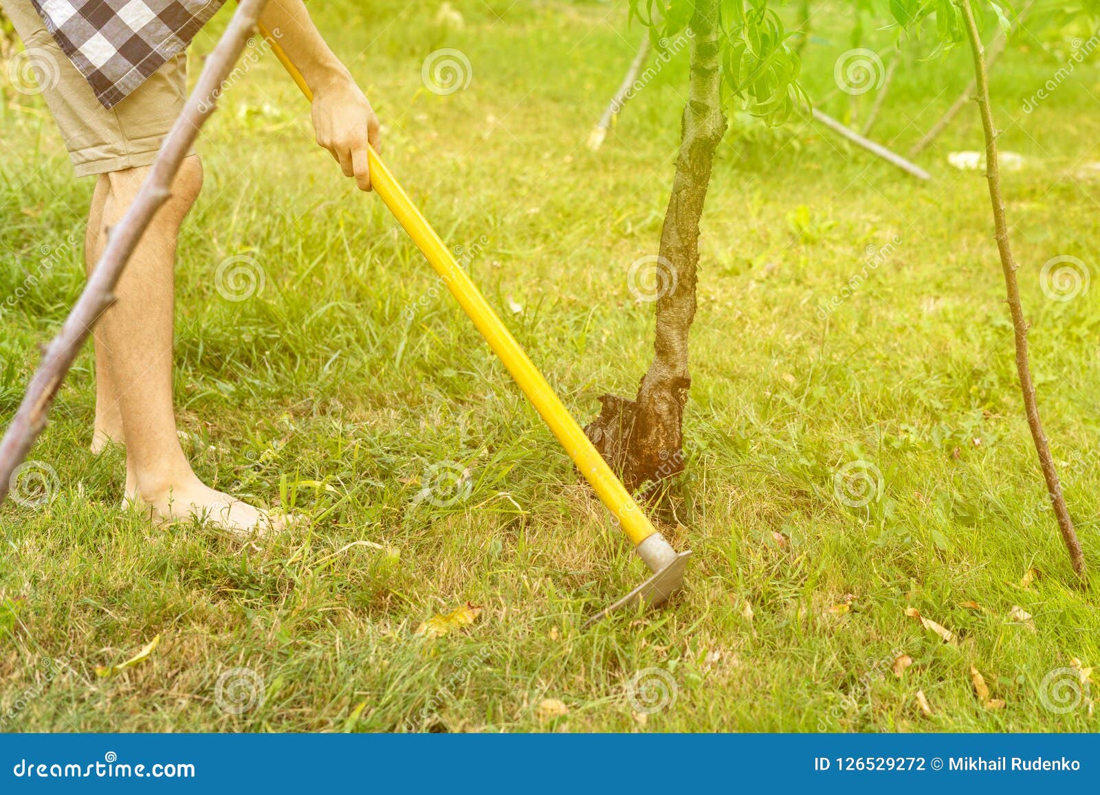 Man Working with Hoe in Garden Under Tree on Lawn a Stock Photo - Image ...