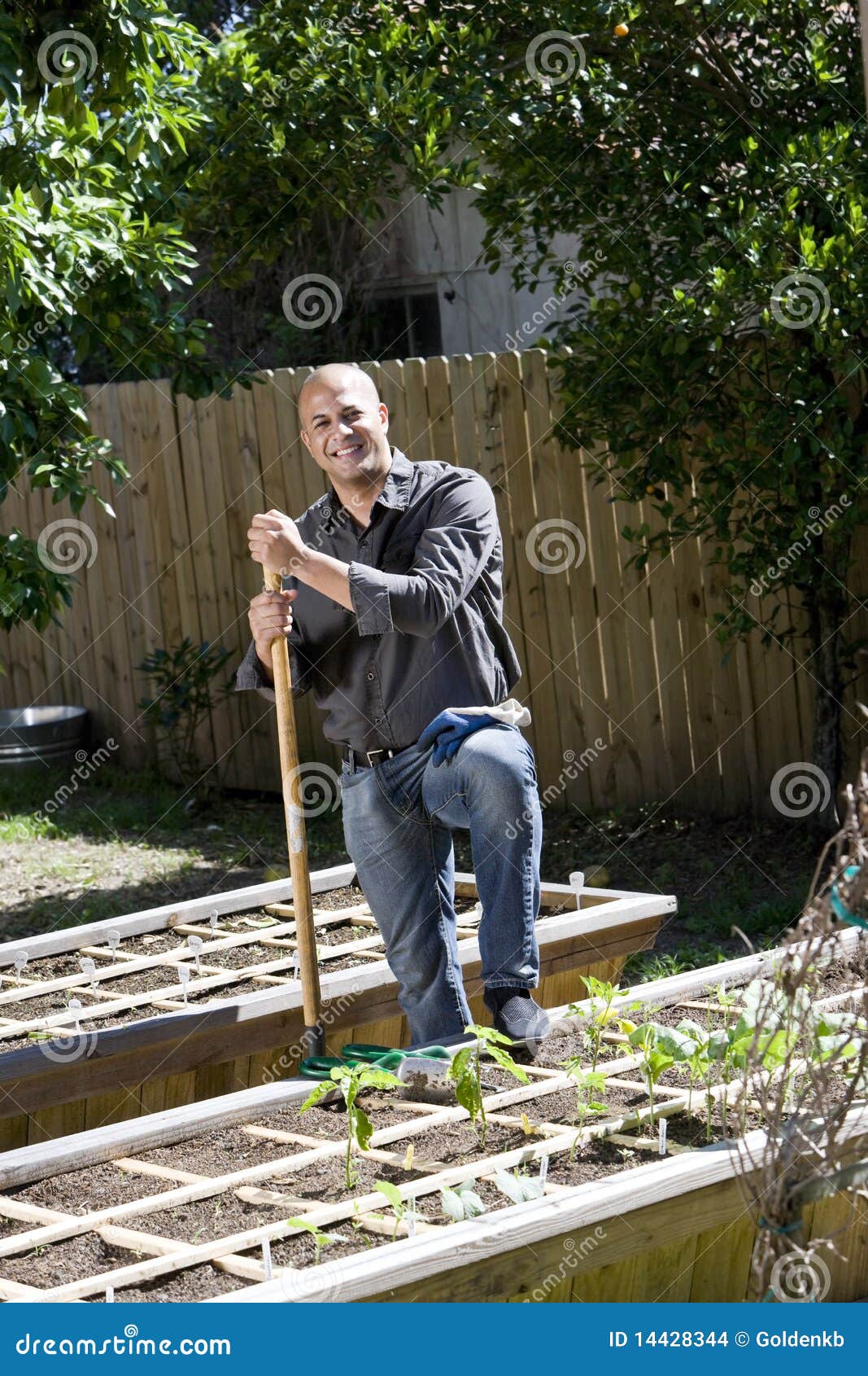 man working vegetable garden backyard 14428344