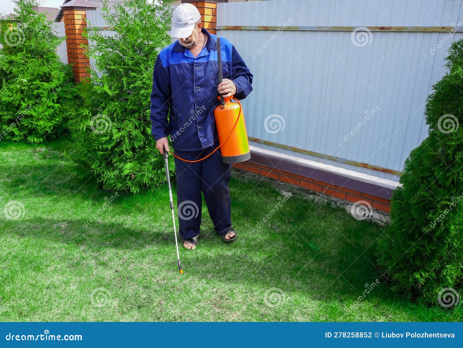 A Man Works in the Garden, Spraying Weeds from a Sprayer Stock Photo