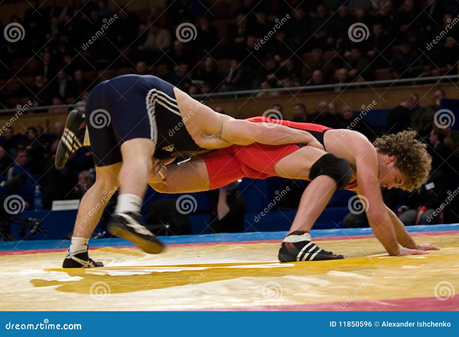 Man wrestlers. editorial photo. Image of wrestling, throw 11850596