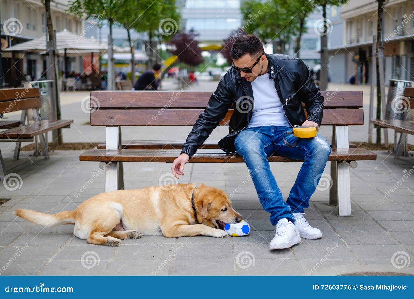Man Yelling at His Dog Biting Ball Stock Photo Image of angry