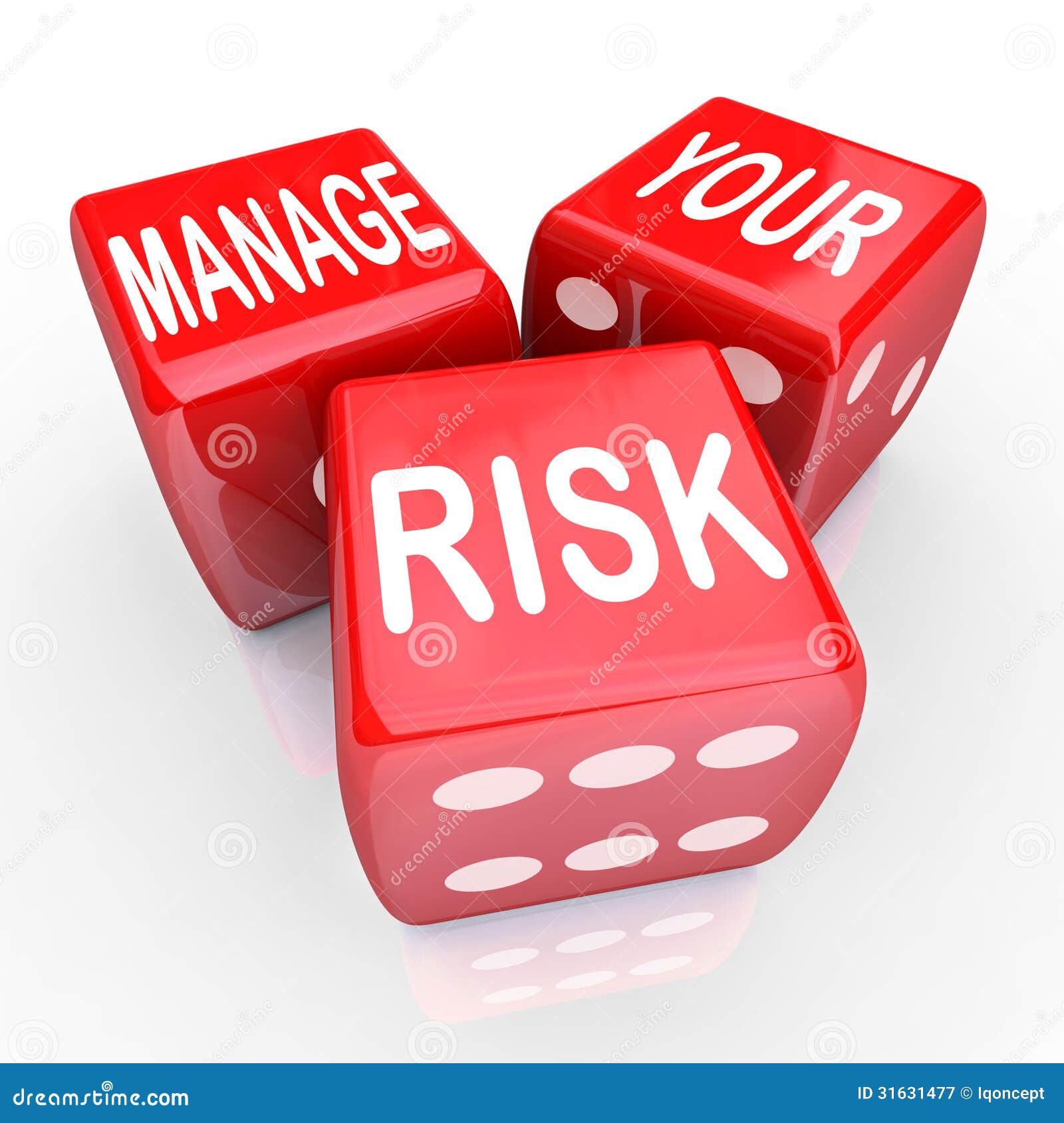 manage your risk words dice reduce costs liabilities