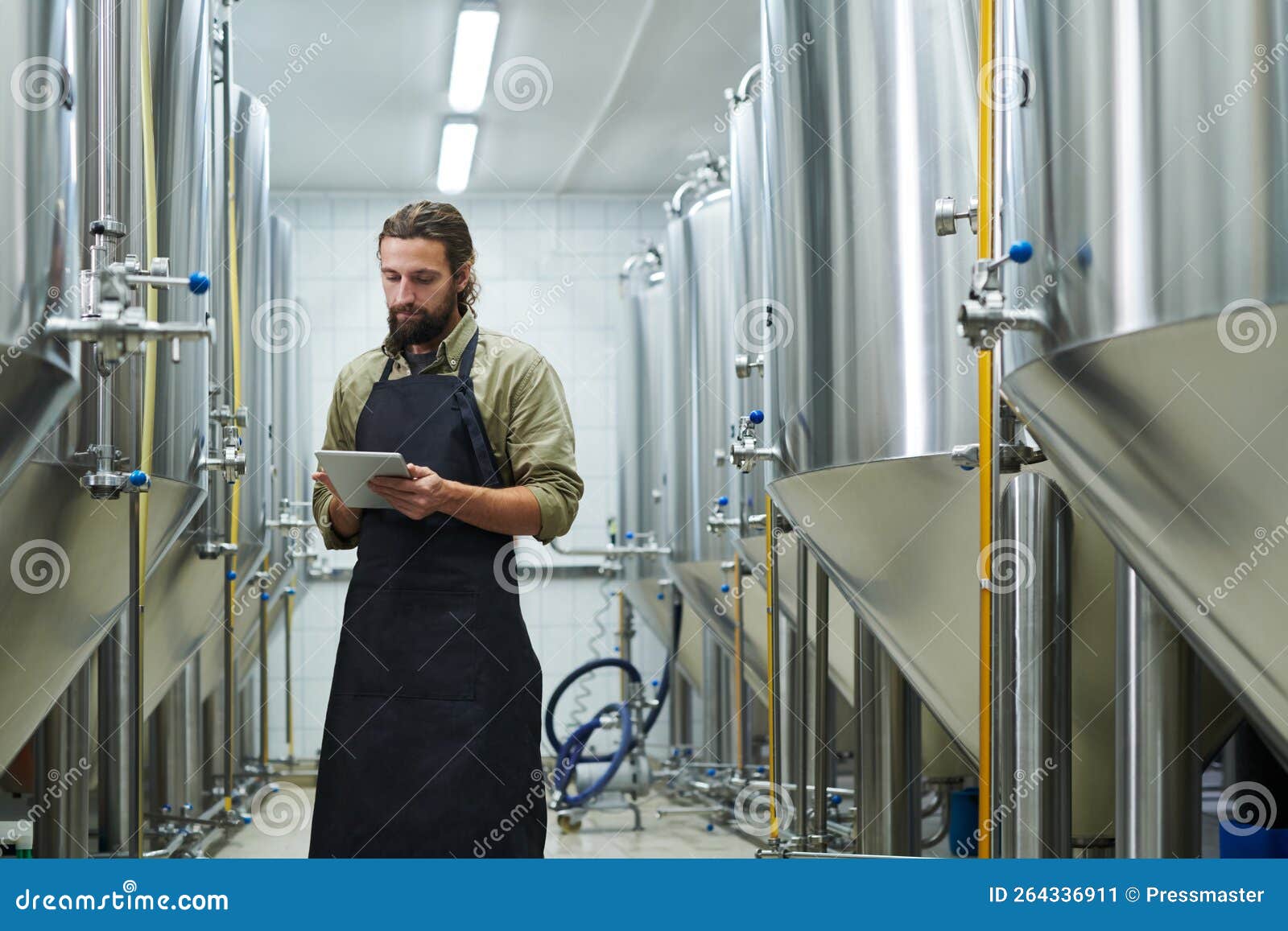 Manager Controlling Work of Brewery Stock Image Image of beard