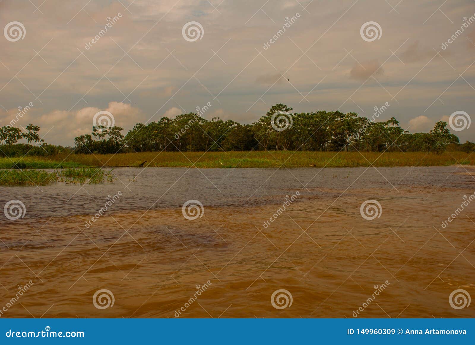 manaus, amazonas, brazil: the merger of the two colored river, rio negro, solimoes. meeting, multi-colored waters do not mix, and