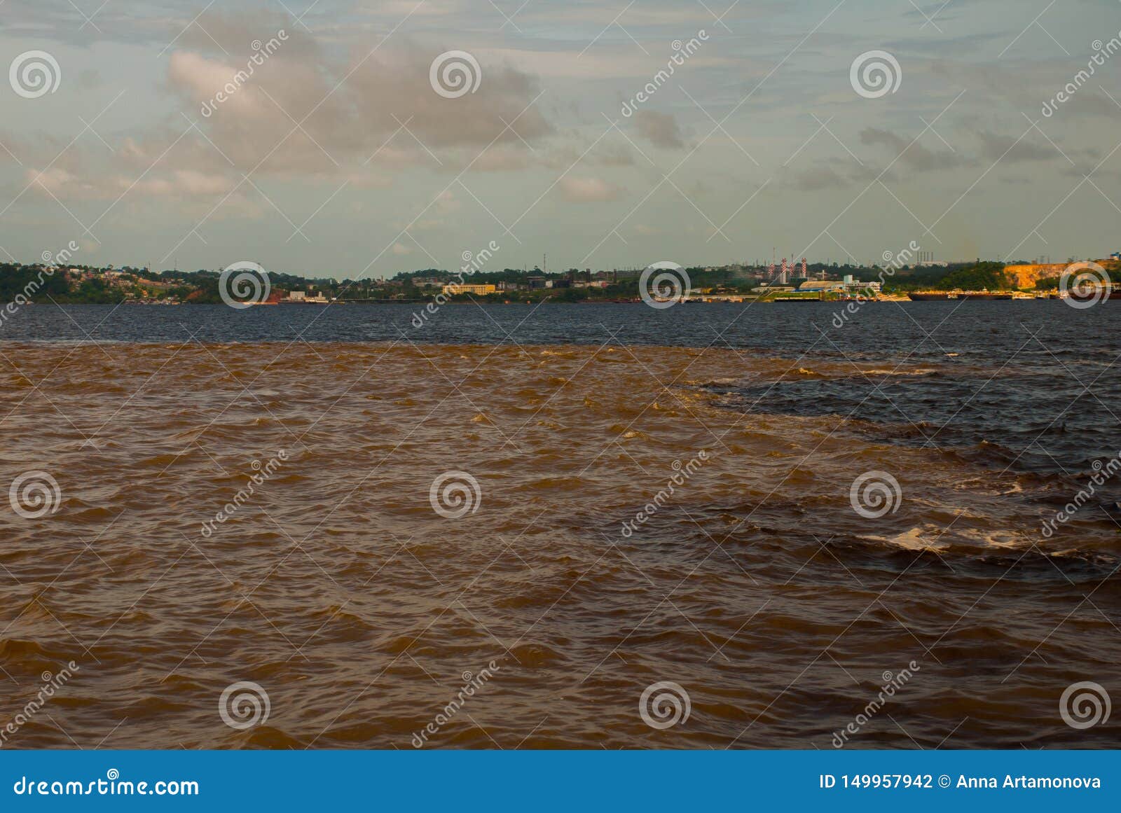 manaus, amazonas, brazil: the merger of the two colored river, rio negro, solimoes