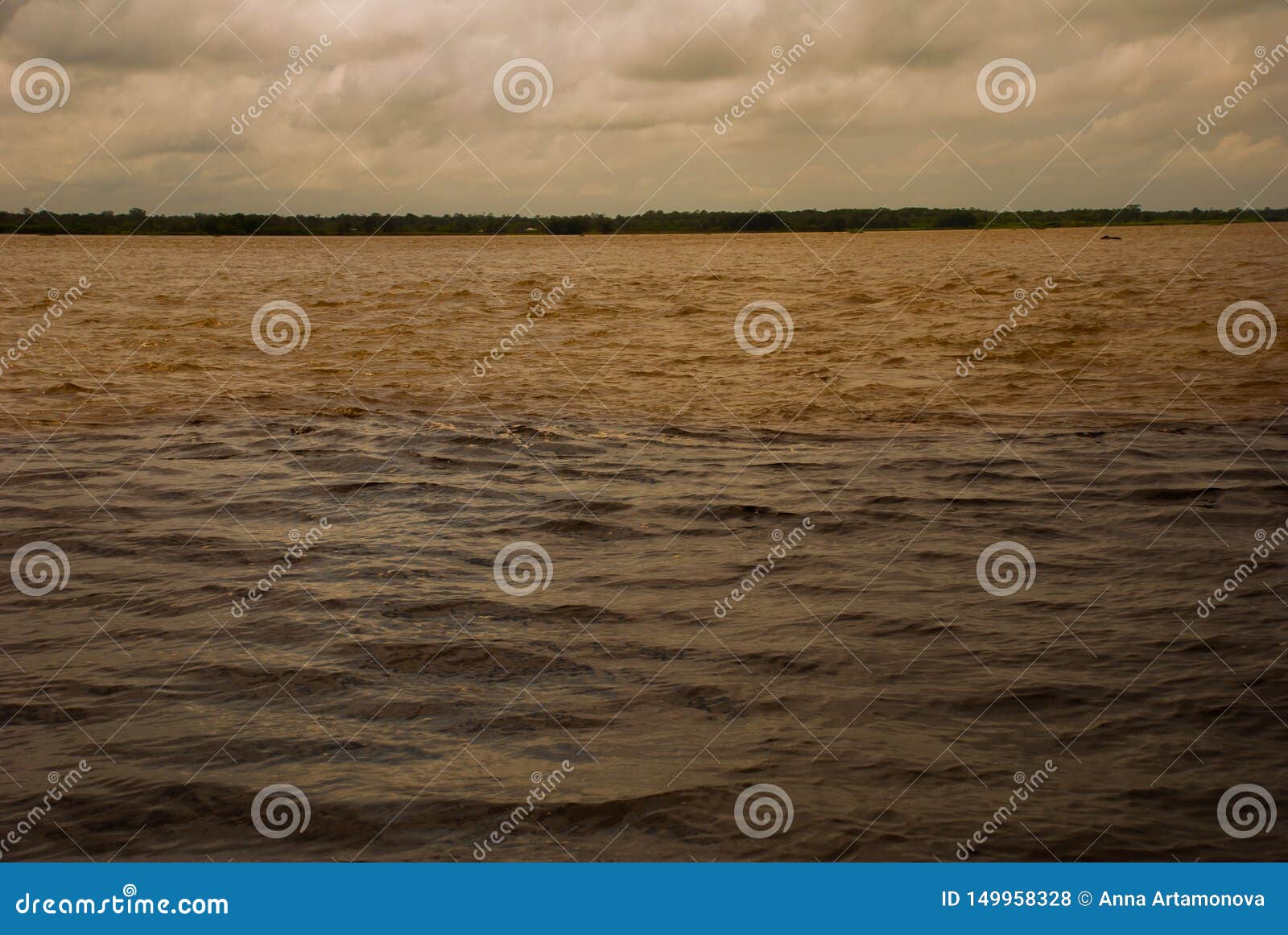 manaus, amazonas, brazil: the merger of the two colored river, rio negro, solimoes