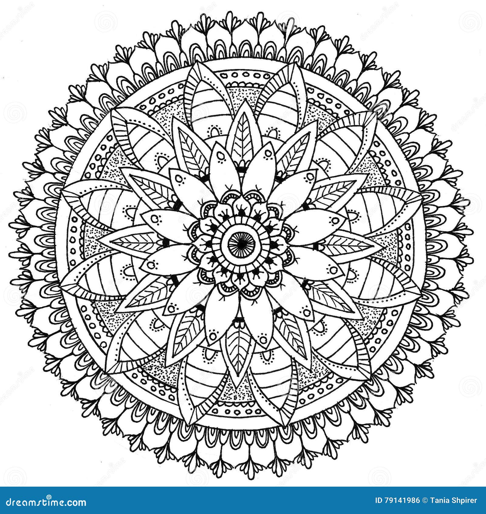 Mandala a colorir ilustração stock. Ilustração de rabisco - 79142025