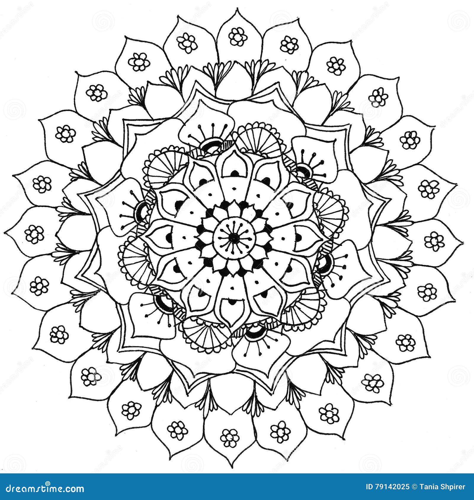 Mandala a colorir ilustração stock. Ilustração de rabisco - 79142025