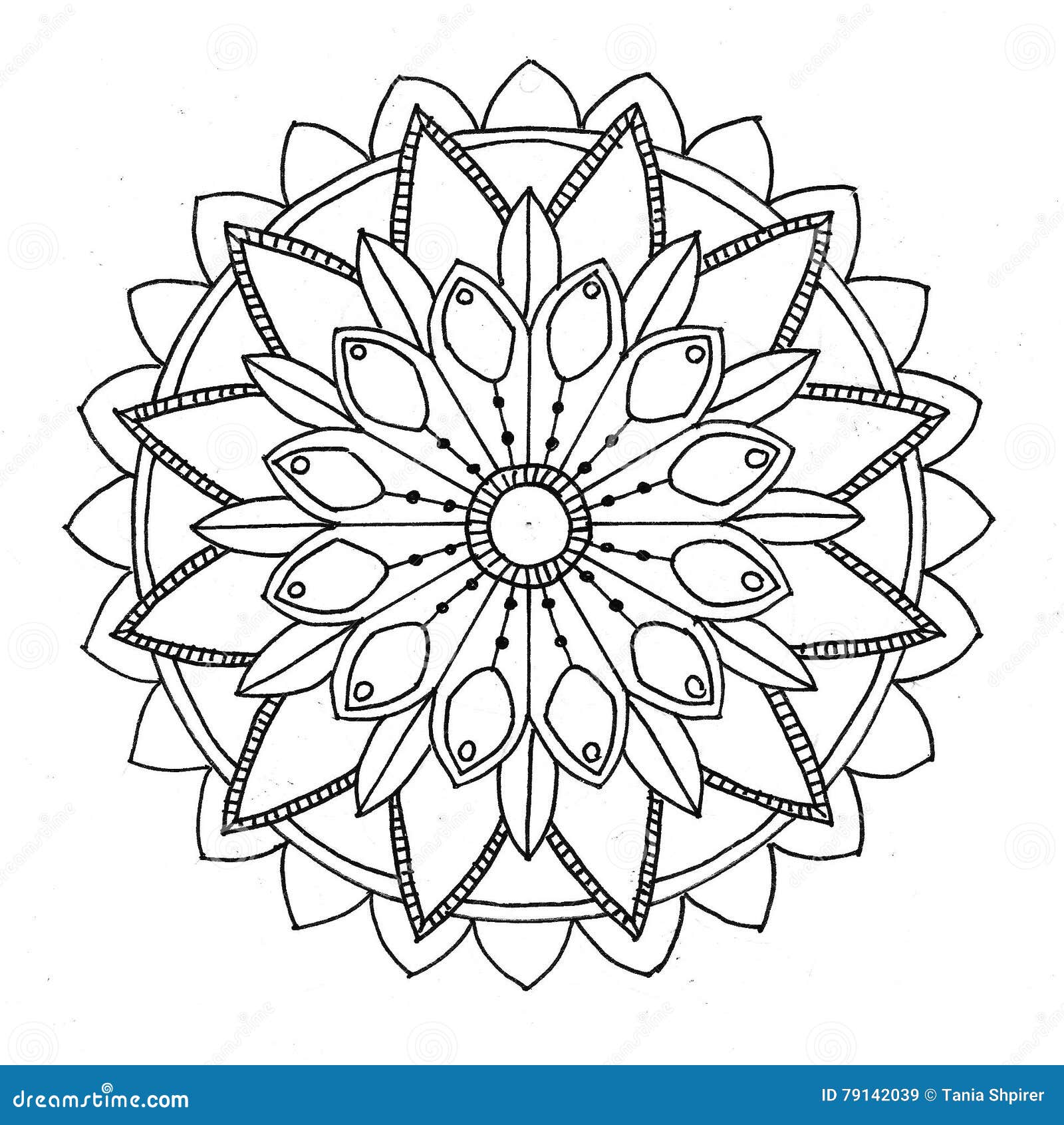 Mandala a colorir ilustração stock. Ilustração de rabisco - 79142025