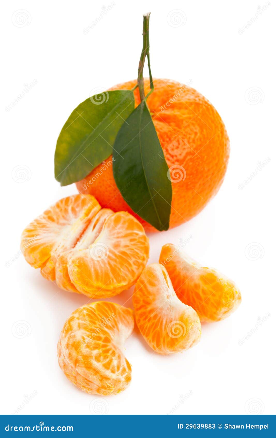 Mandarin stock image. Image of organic, isolated, fresh 29639883