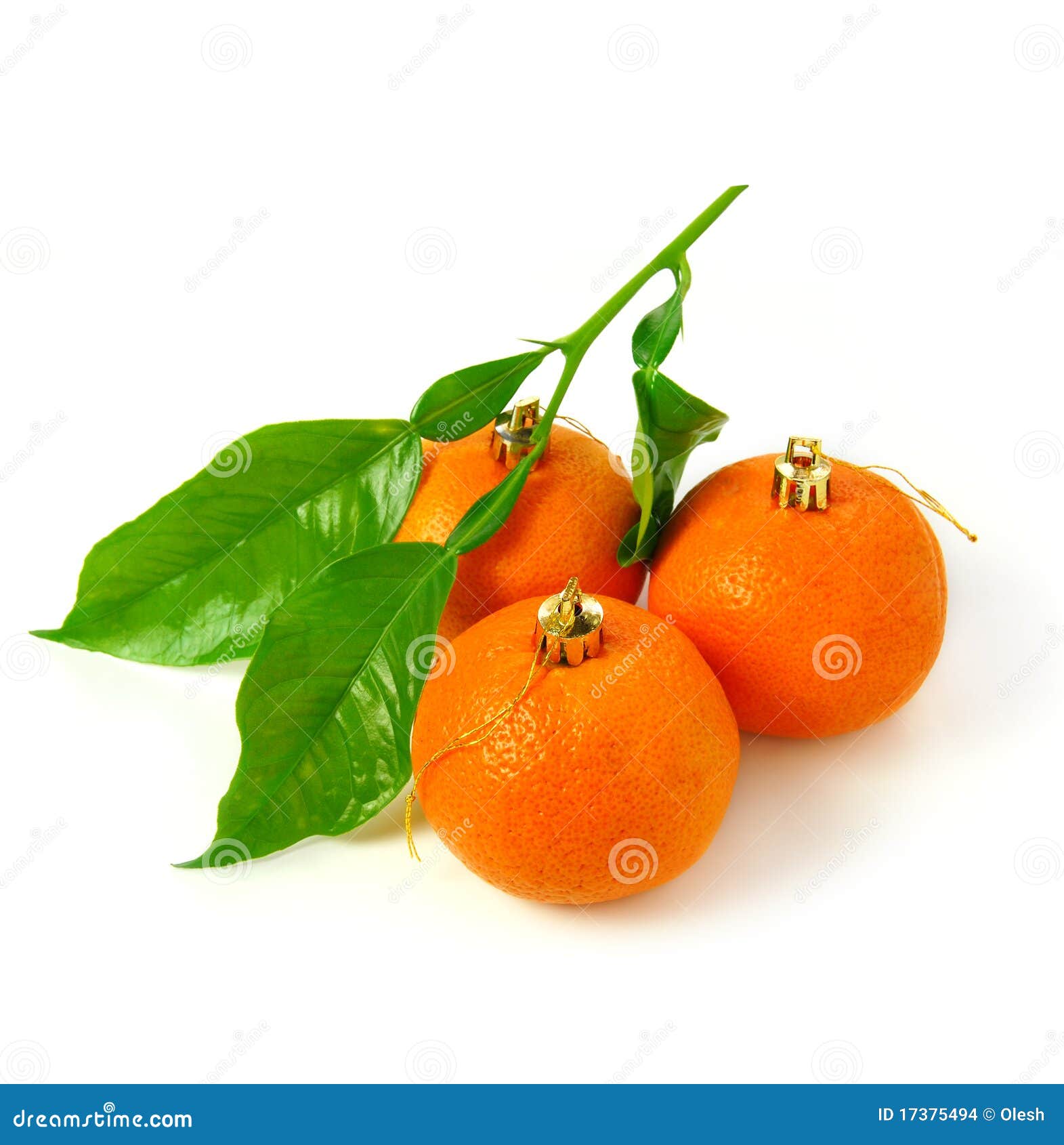 Mandarin Christmas Decoration Stock Photo Image of color, fruit 17375494