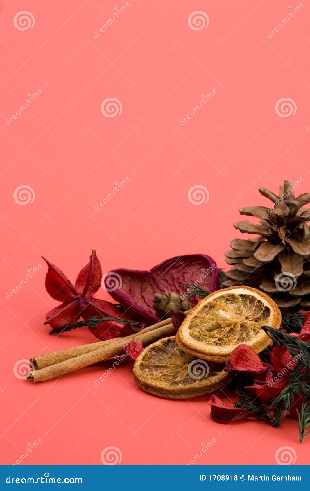 Mandarin,Cloves & Cinnamon Stock Photo Image of autumn, fragrance