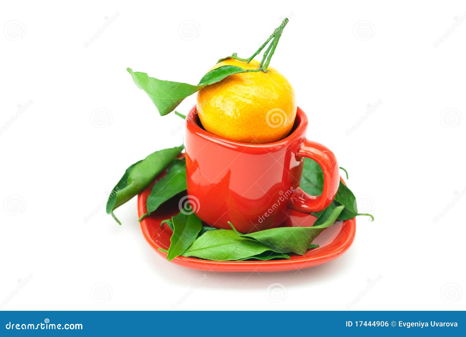 Mandarin in a Cup Isolated on White Stock Photo Image of circle, green 17444906