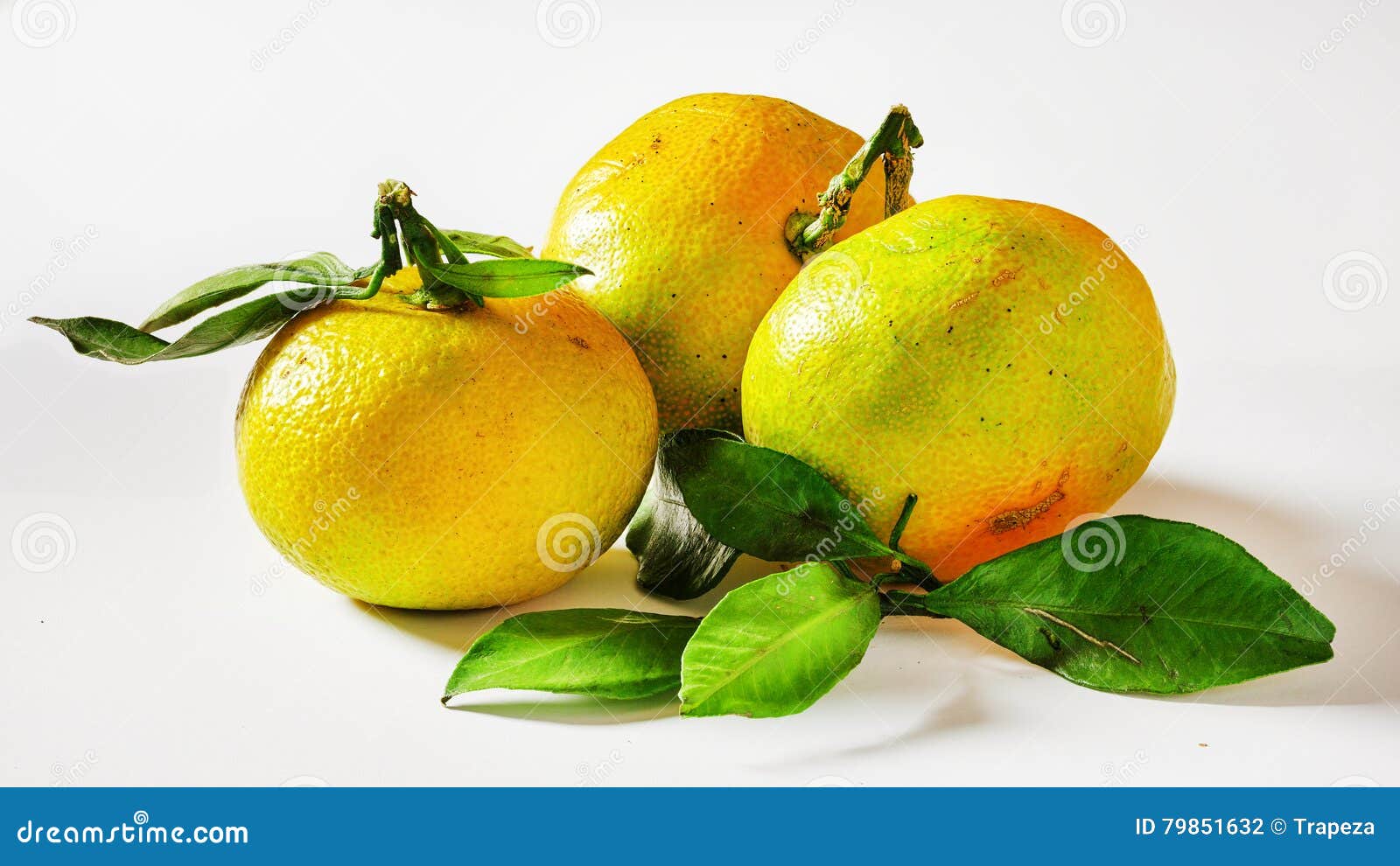 Mandarin Fruit Isolated on White Stock Photo Image of fruit, sweet
