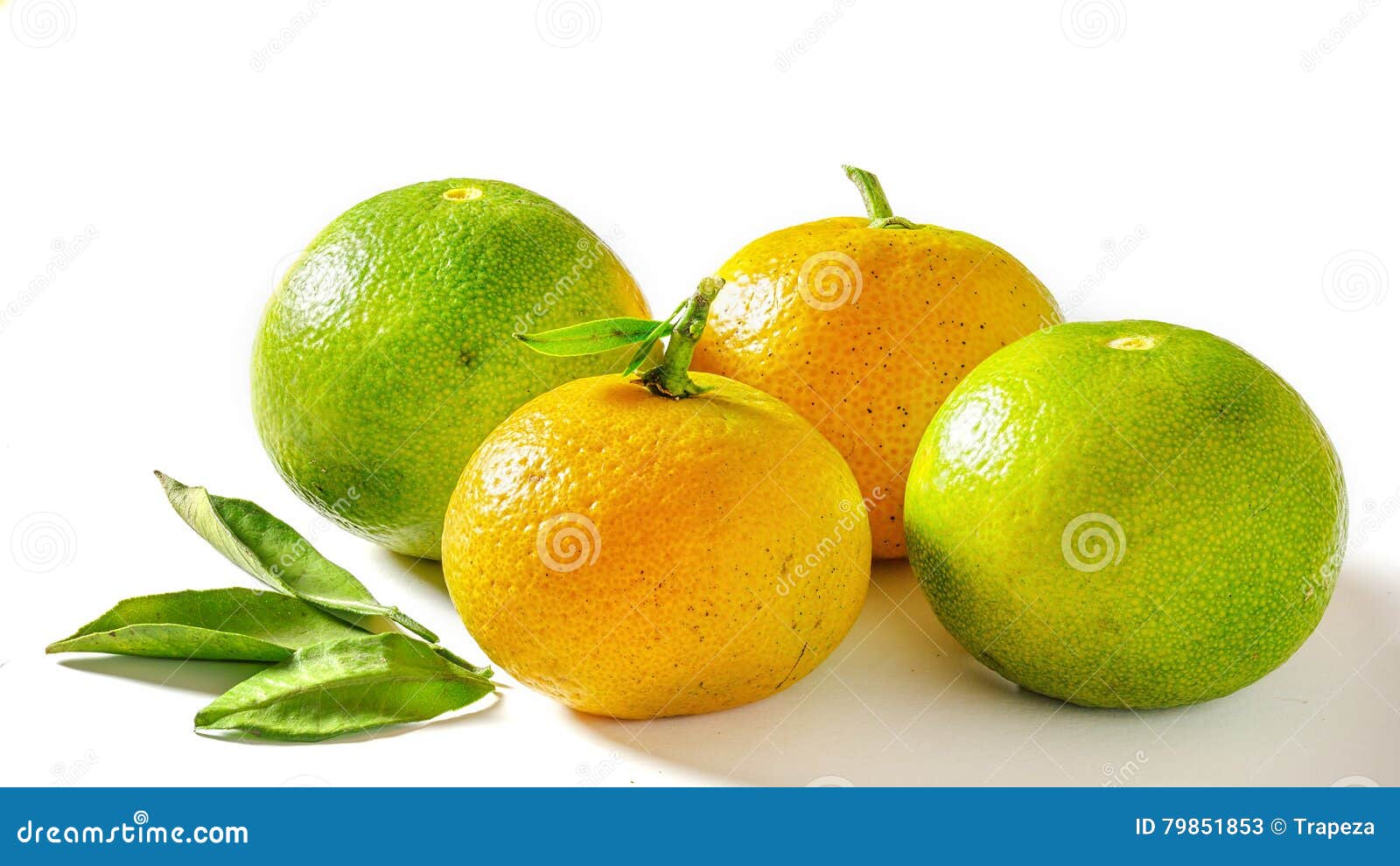 Mandarin Fruit Isolated on White Stock Image Image of healthy, juicy