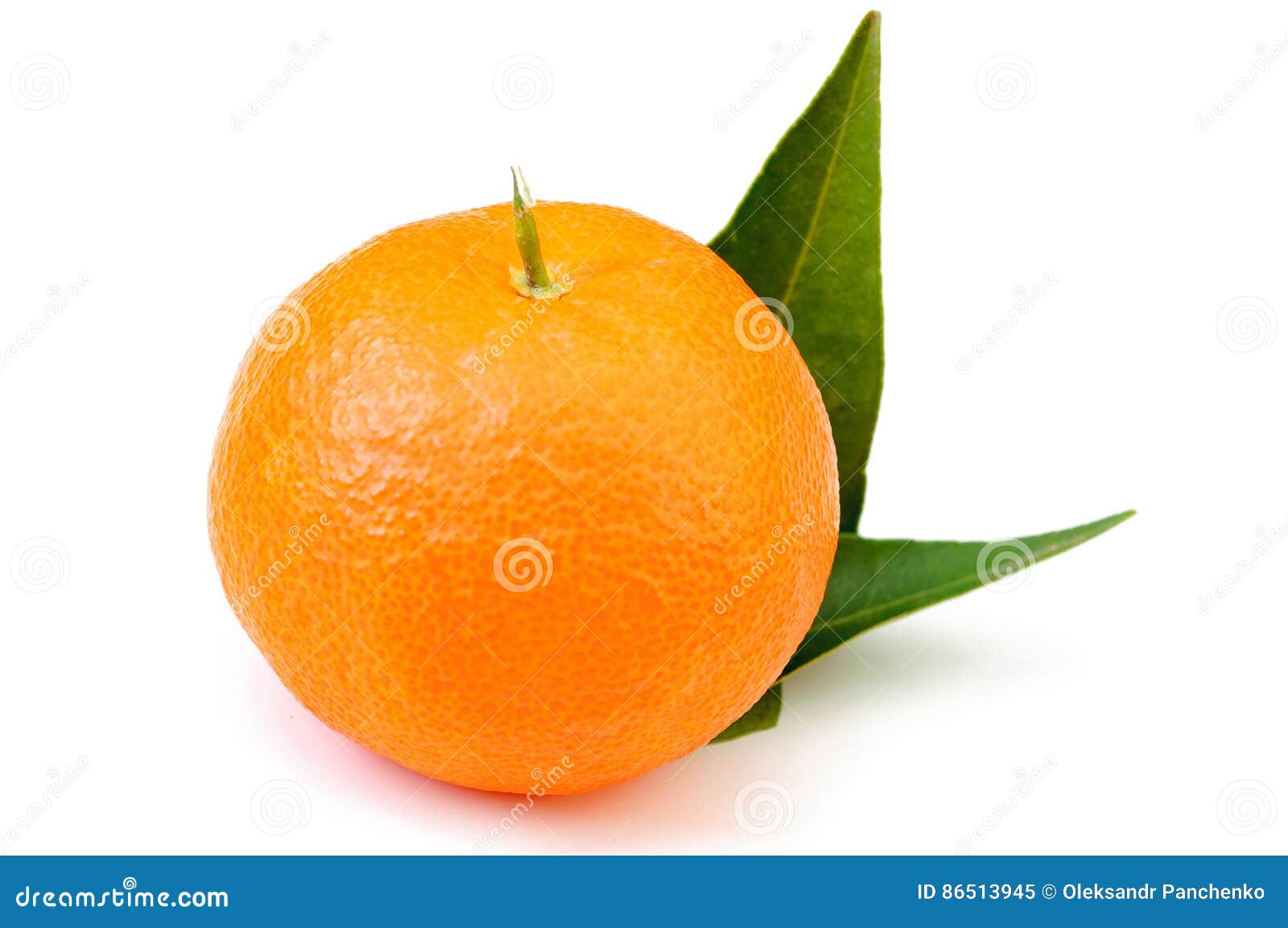 Mandarin Fruit with Leaf Isolated Stock Image Image of food, mandarin