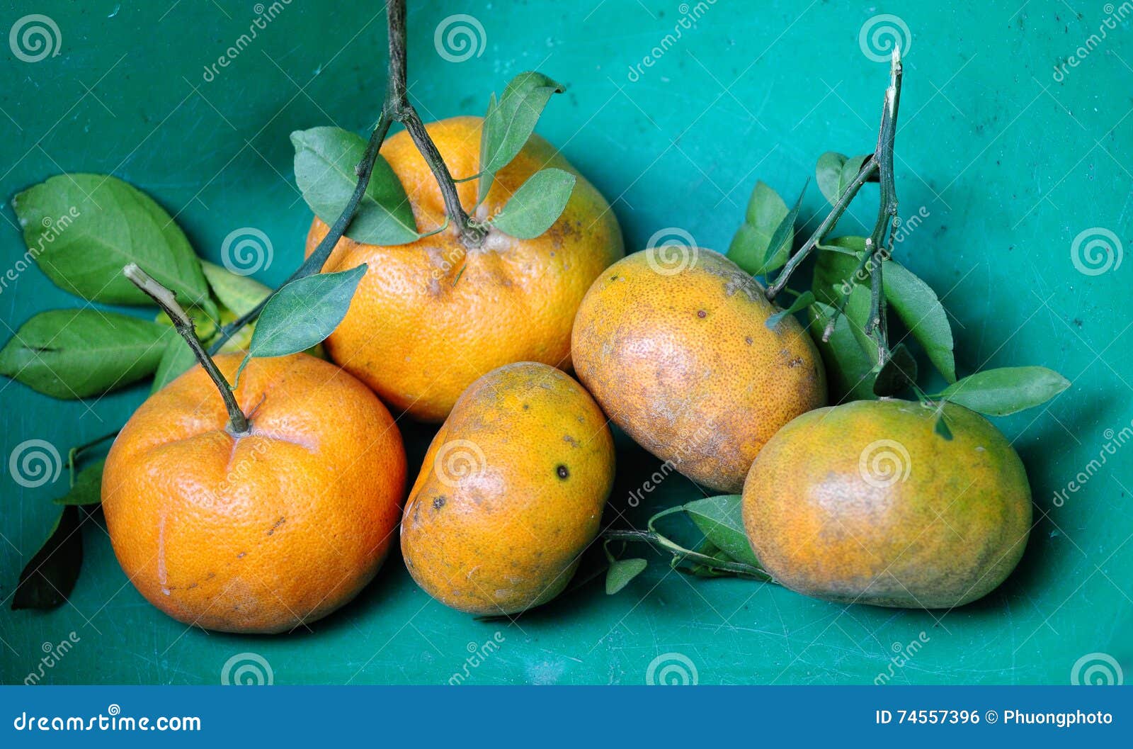 Mandarin Fruits At The Basket Stock Photo Image Of Organic Fruits