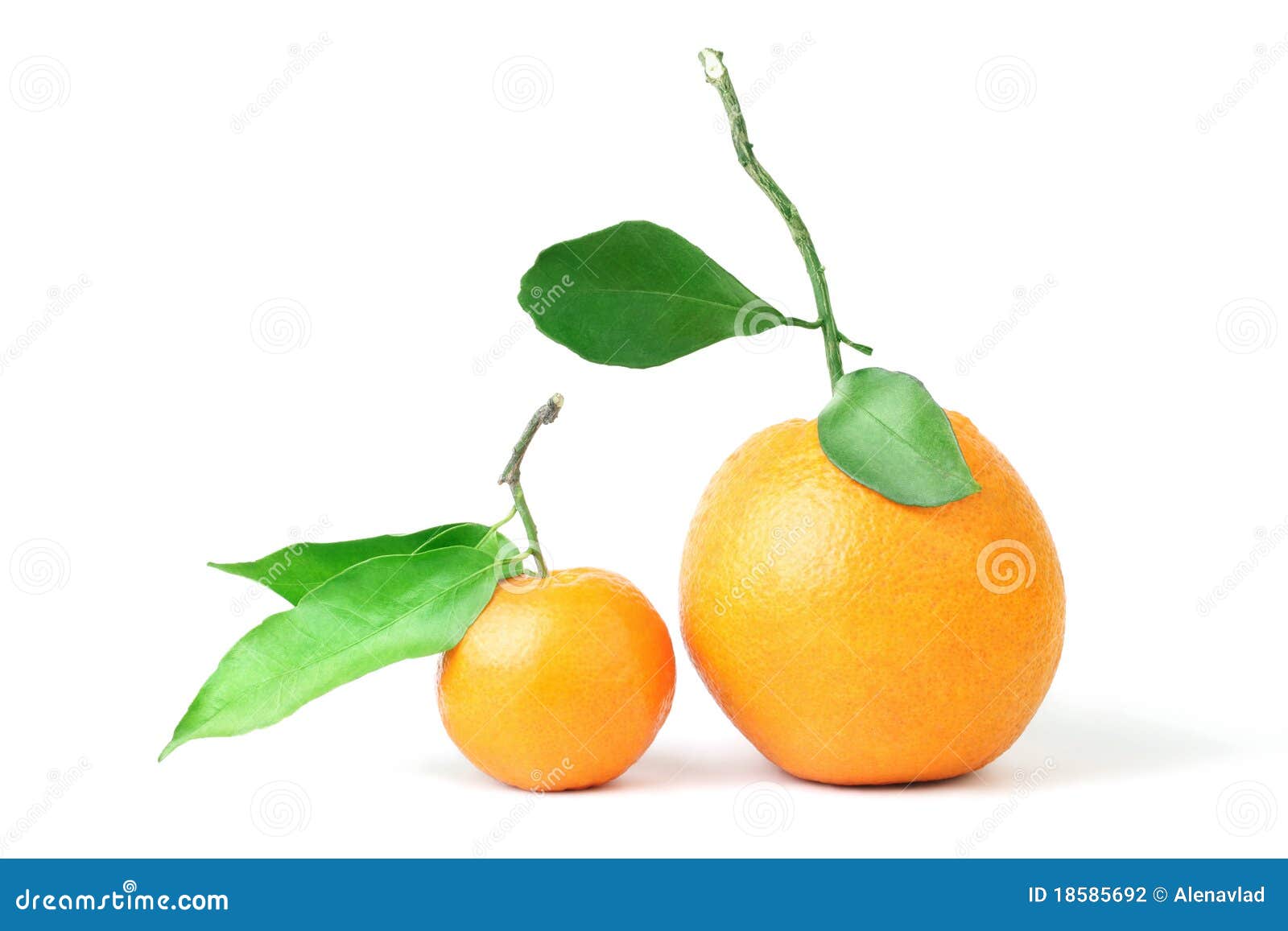 Mandarin and grapefruit. stock photo. Image of food, concept 18585692