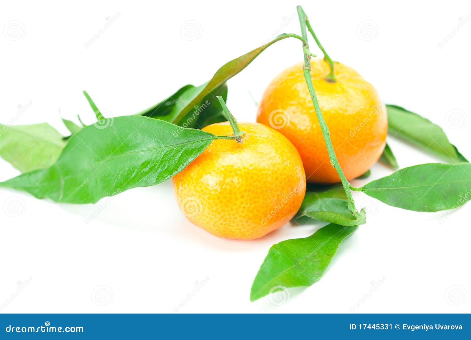 Mandarin with Green Leaves Isolated on White Stock Image Image of