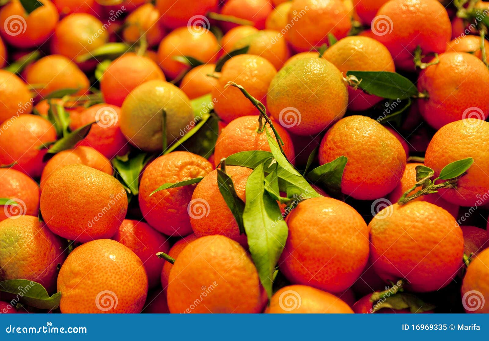 Mandarin orange stock image. Image of season, tangerin 16969335