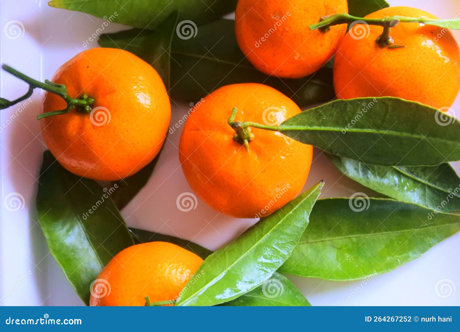 Mandarin Oranges are One of the Most Popular Oranges Consumed in