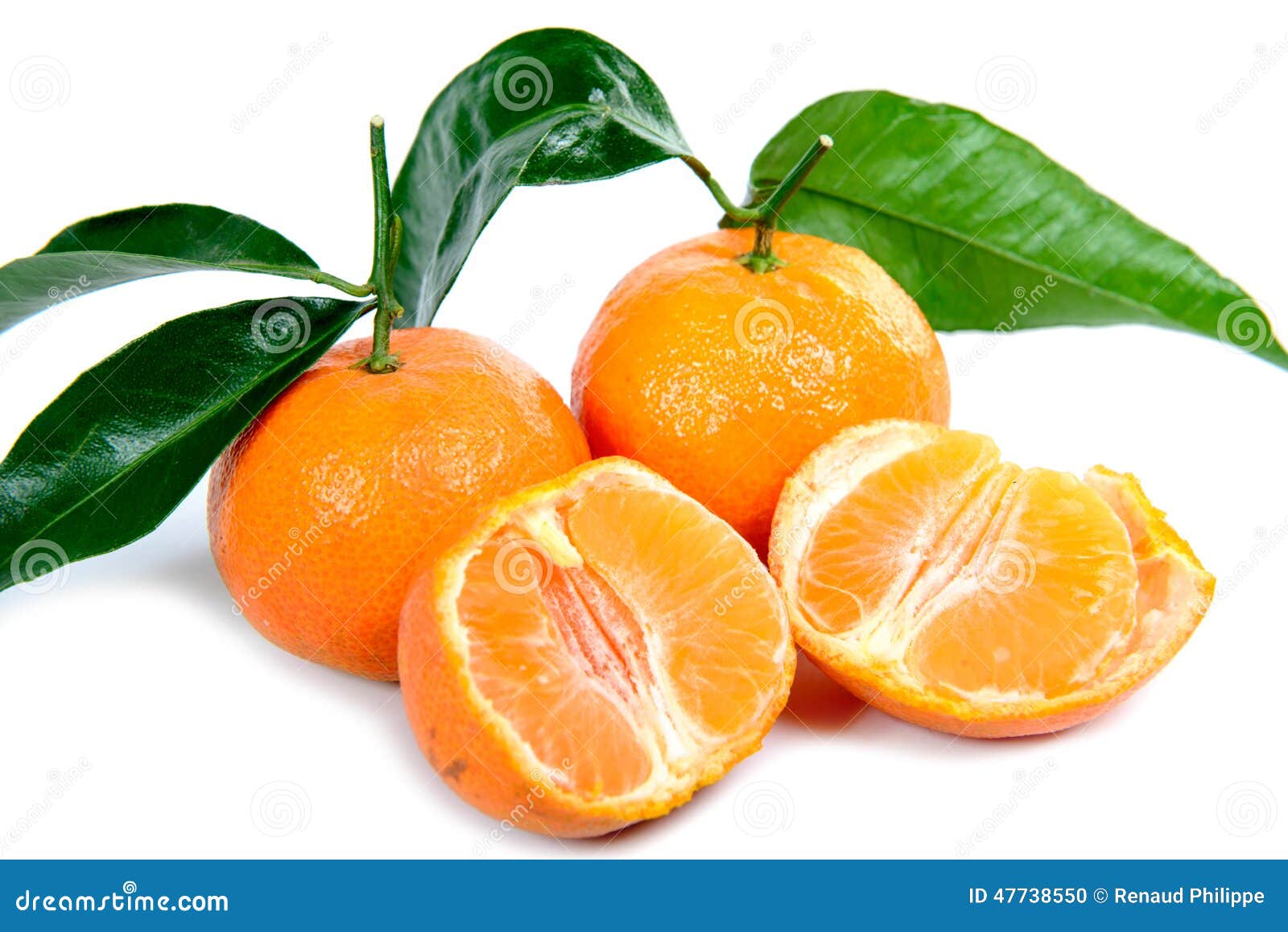 Mandarin oranges stock photo. Image of health, ripe, background 47738550