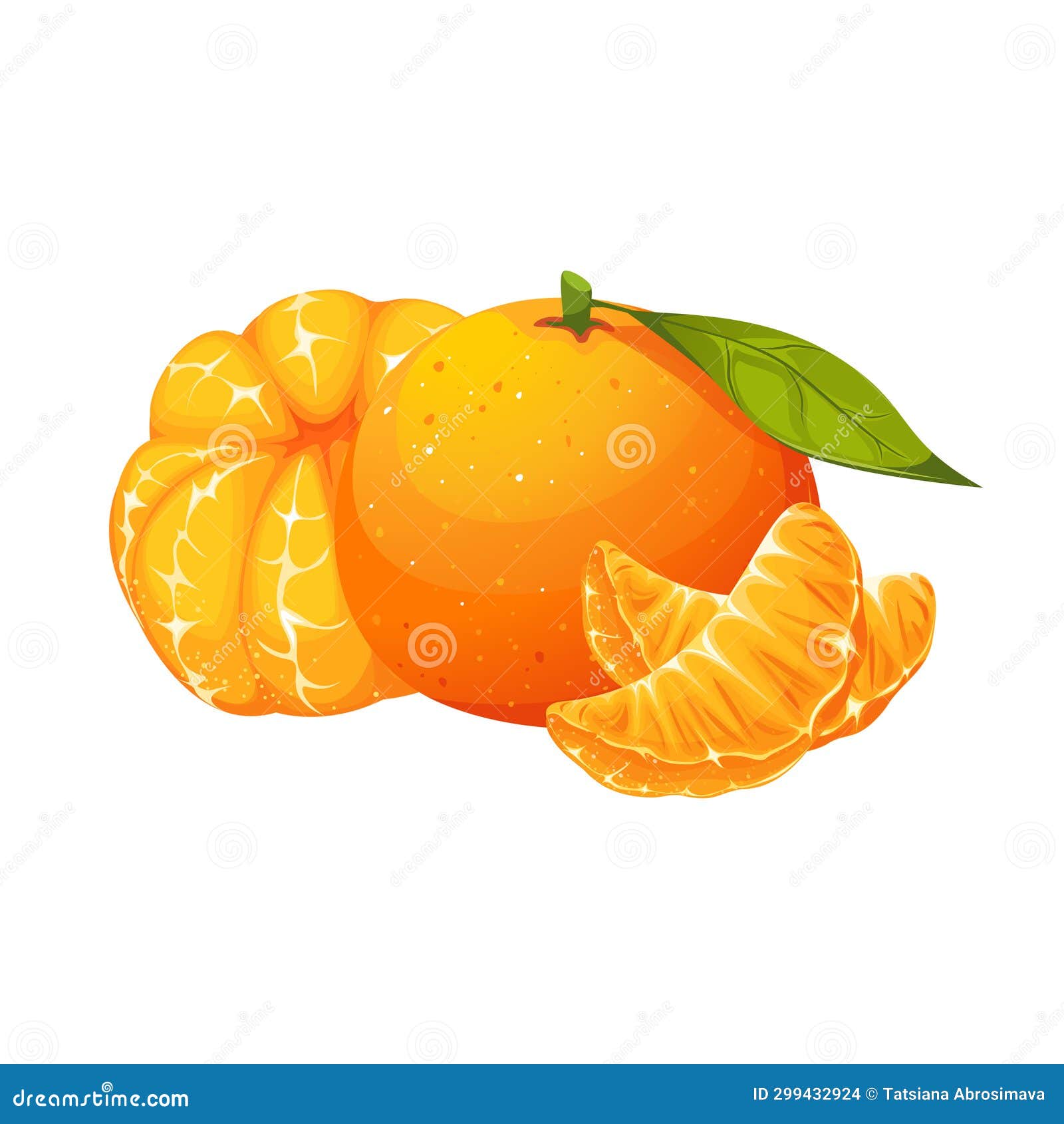 Clementine Slices Stock Illustrations – 344 Clementine Slices