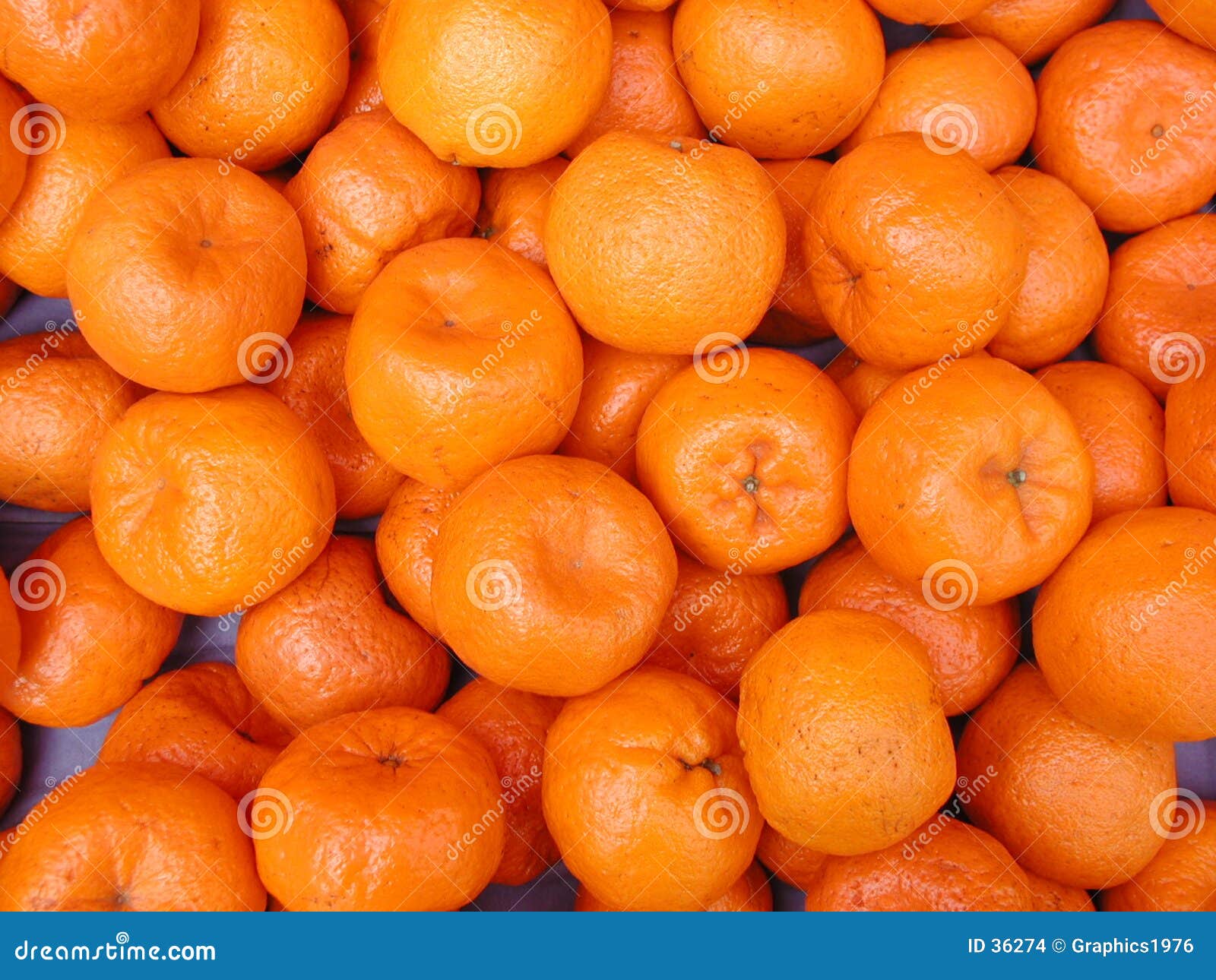 mandarin tangerines under fontanacountryinn com mandarin tangerines