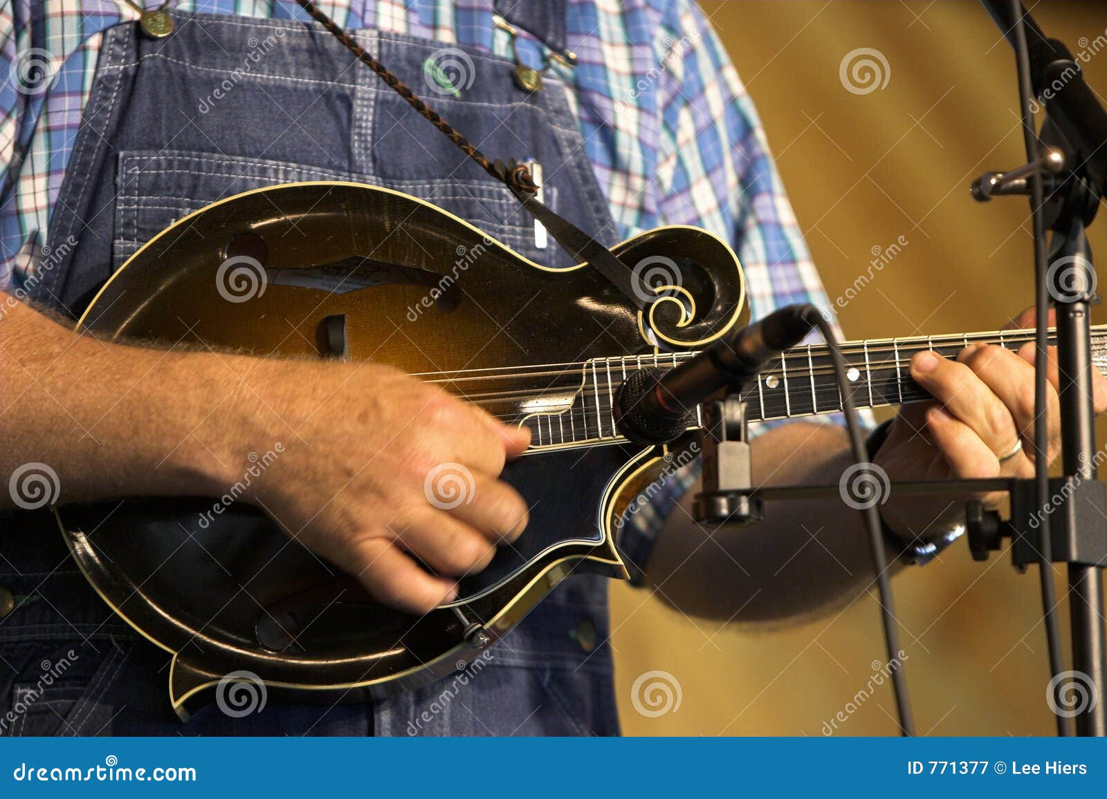 mandolin